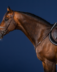 Dy'on Breastplate, Brown, US Collection