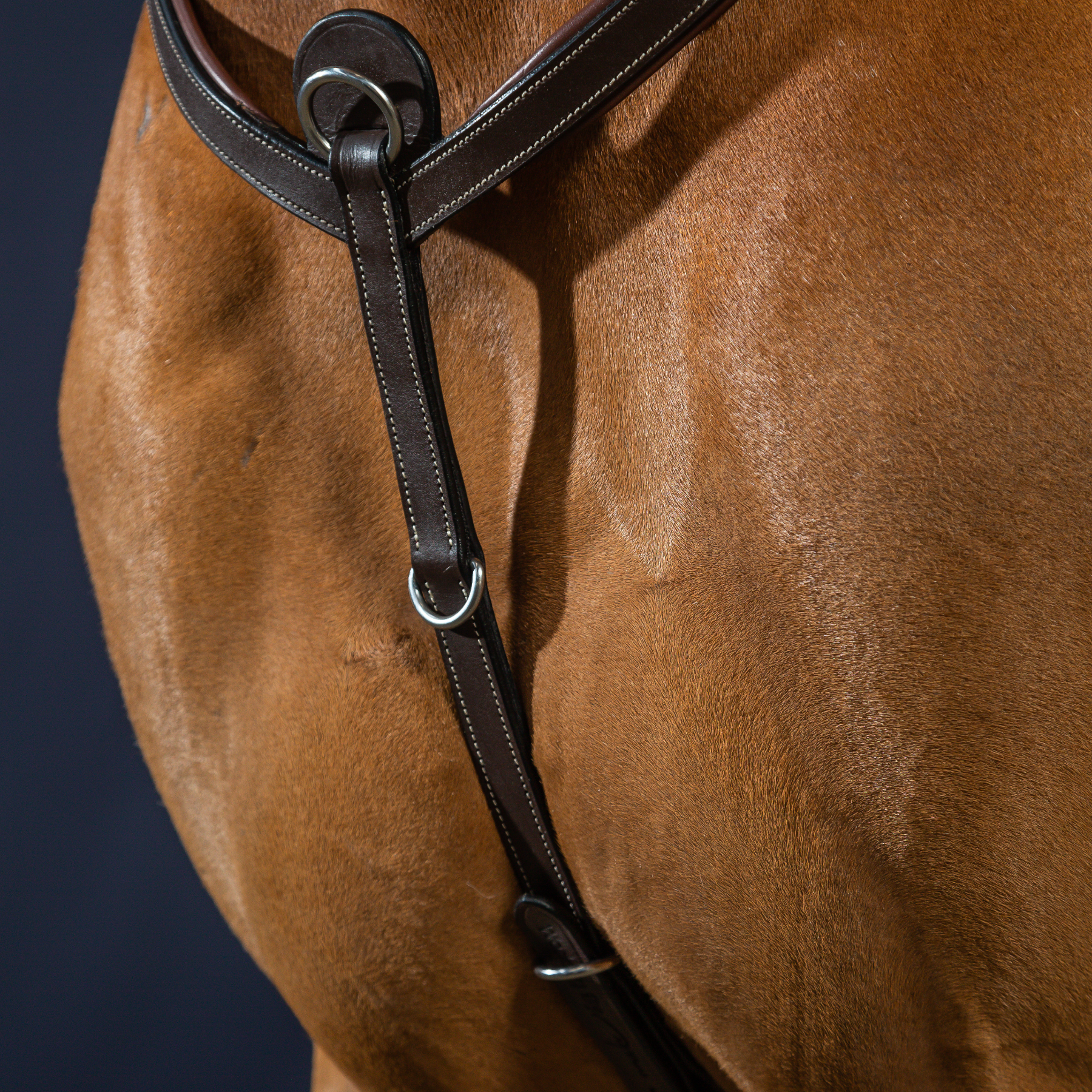 Dy'on Breastplate, Brown, Working By Dyon