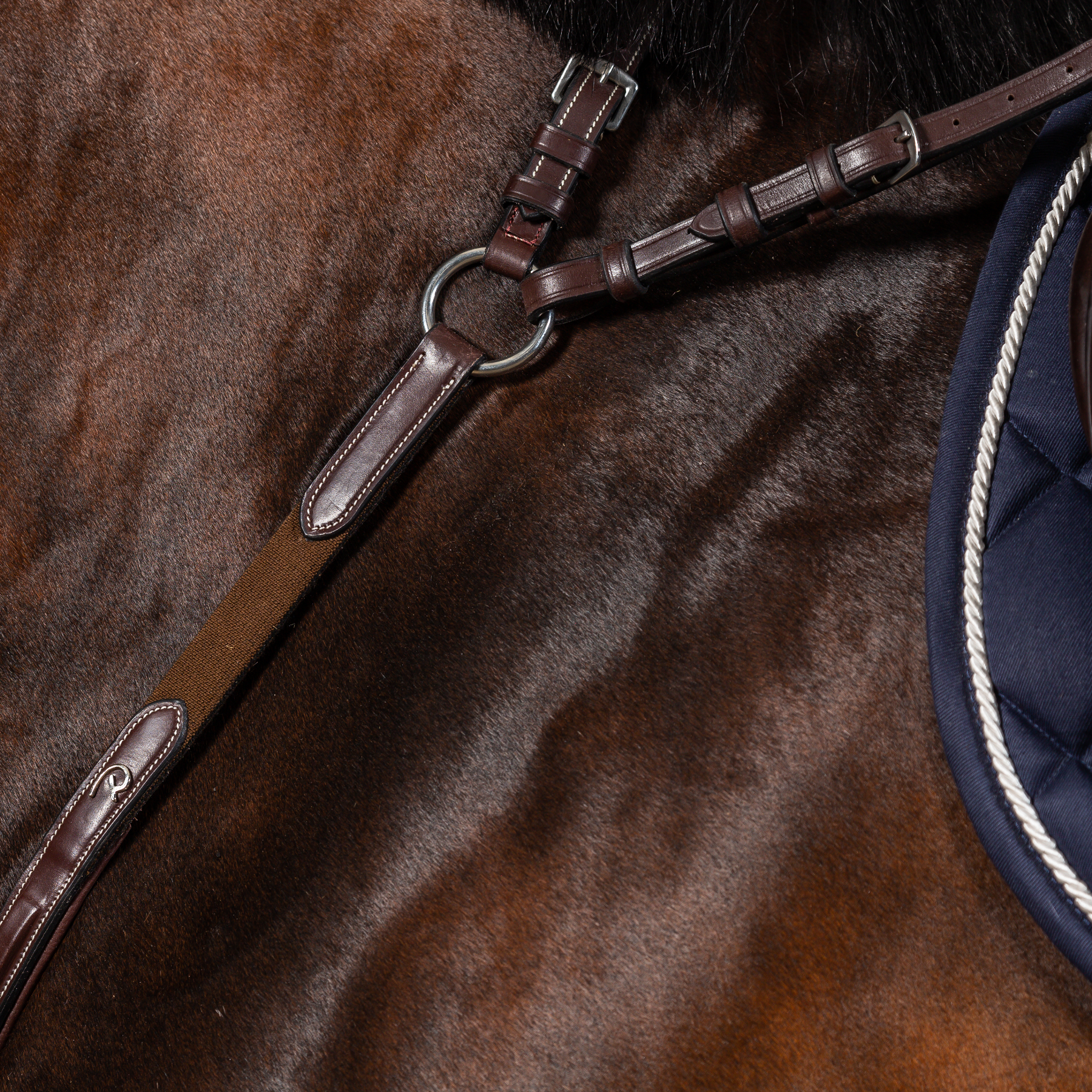 Dy'on Bridge Breastplate, Brown, US Collection