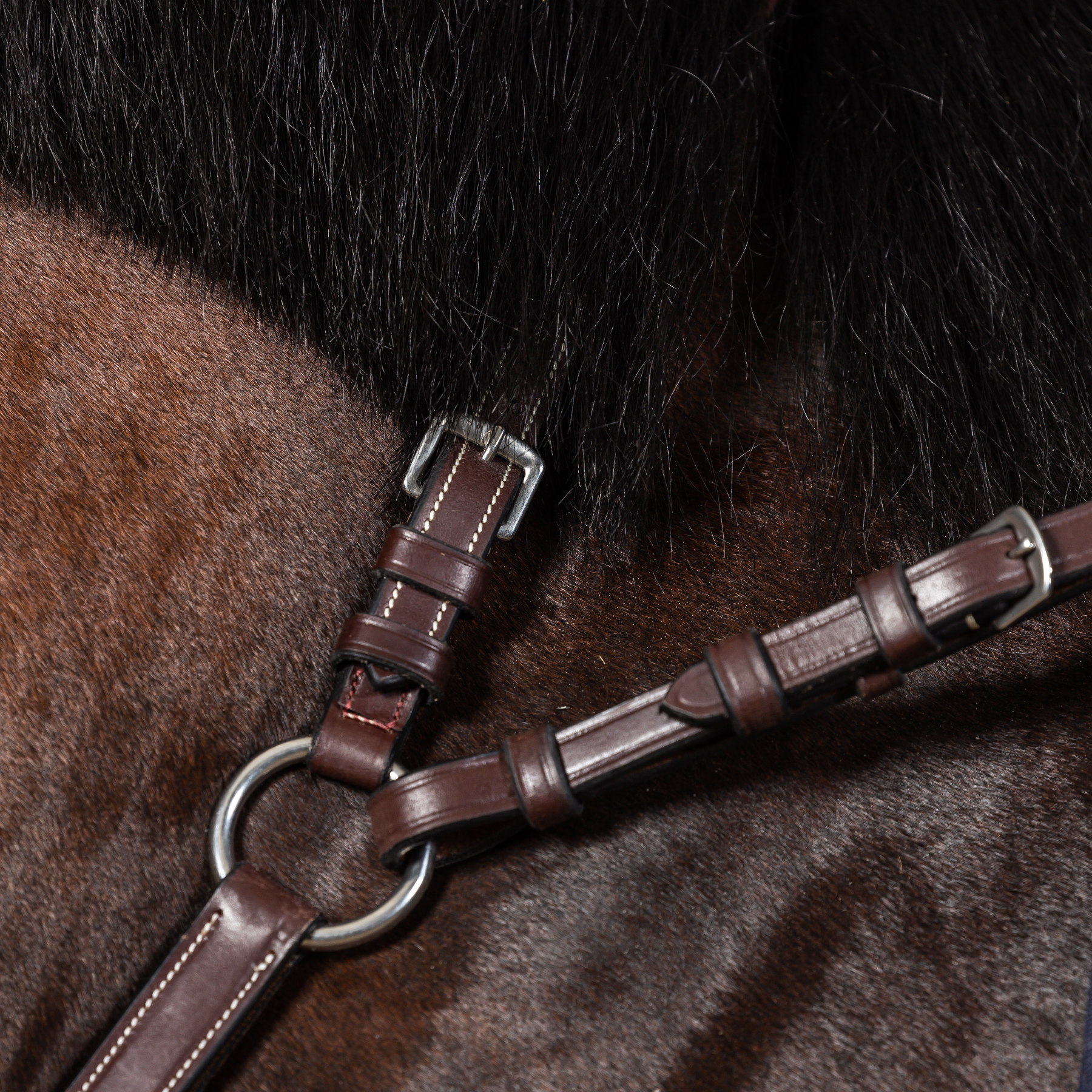 Dy'on Bridge Breastplate, Brown, US Collection