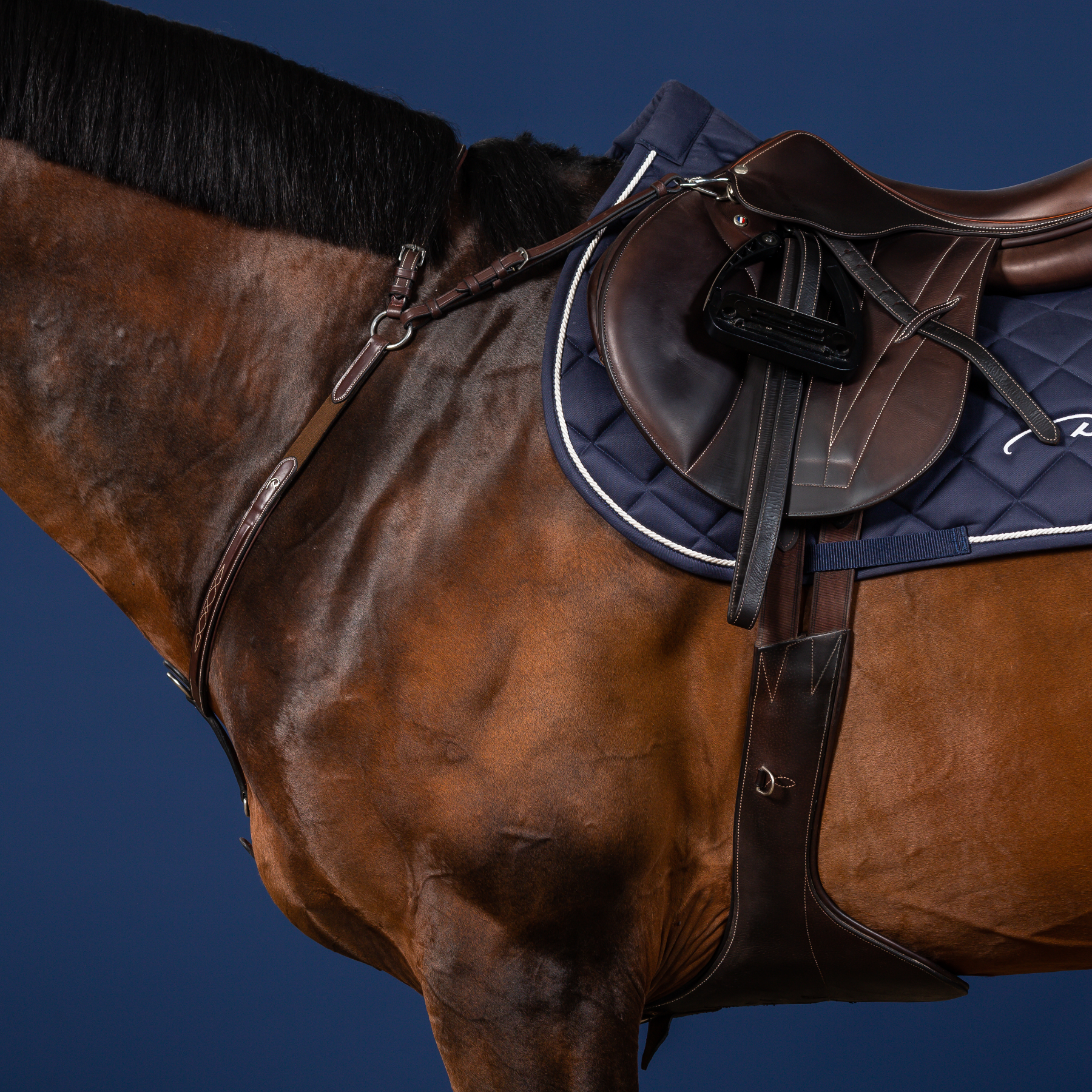 Dy'on Bridge Breastplate, Brown, US Collection