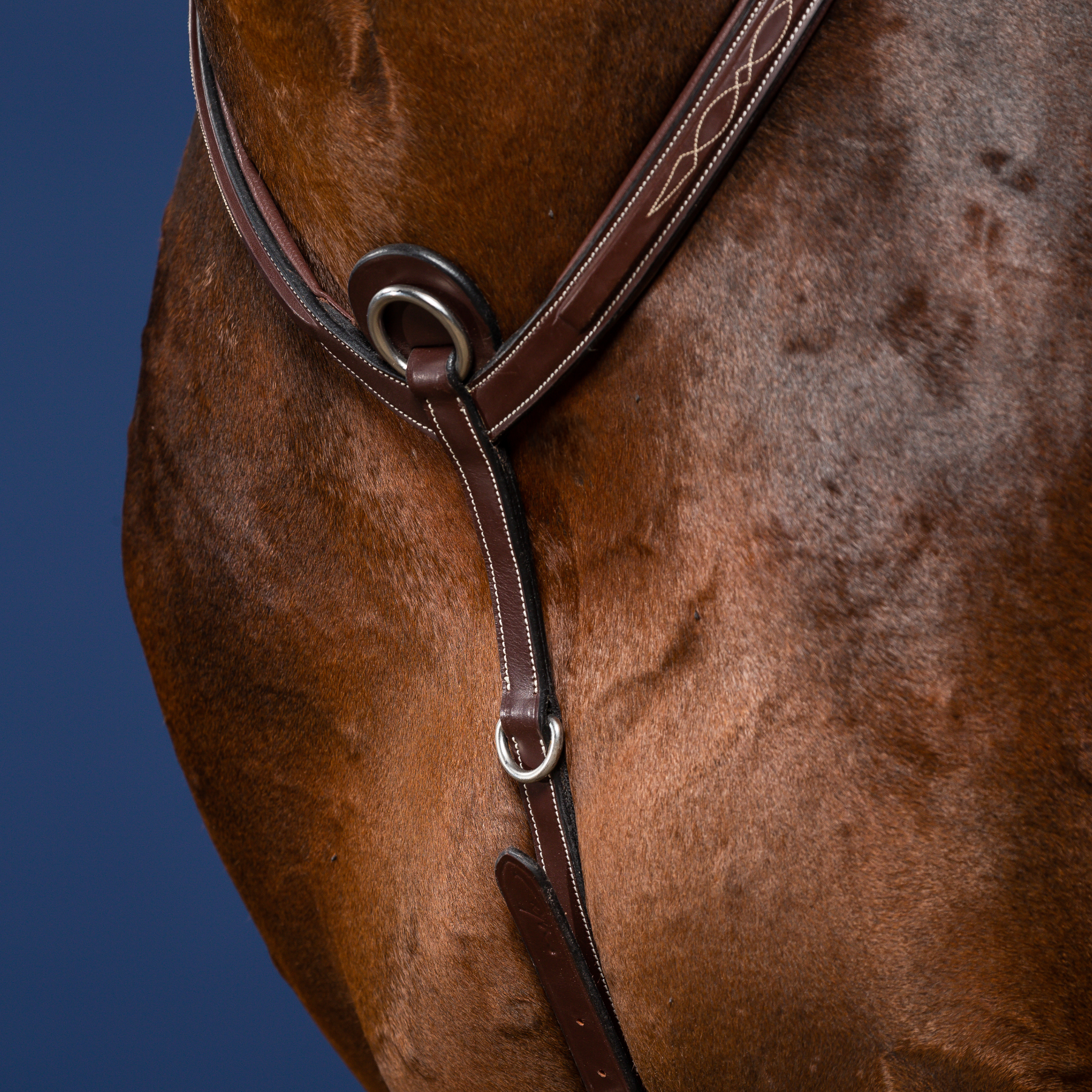 Dy'on Bridge Breastplate, Brown, US Collection