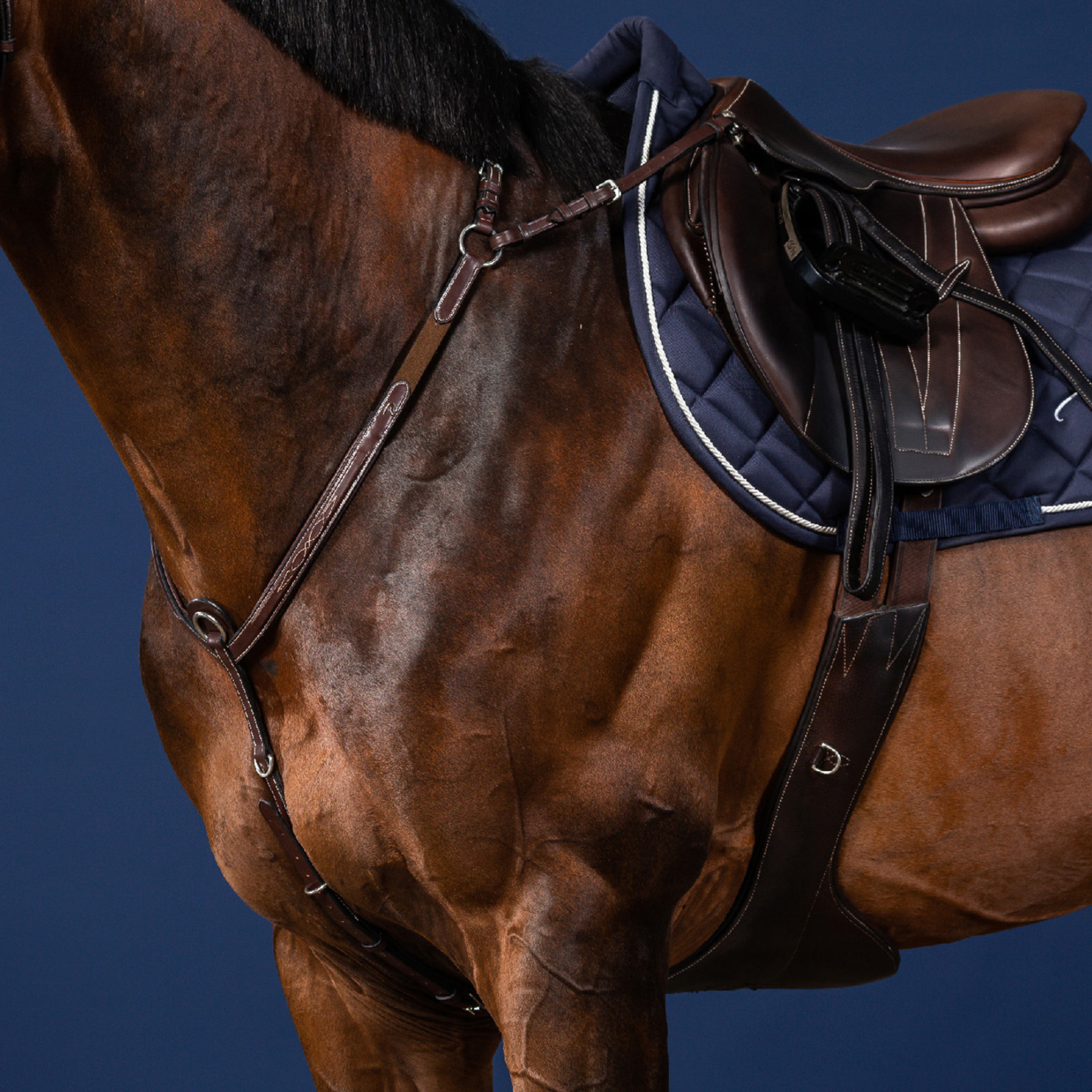 Dy'on Bridge Breastplate, Brown, US Collection