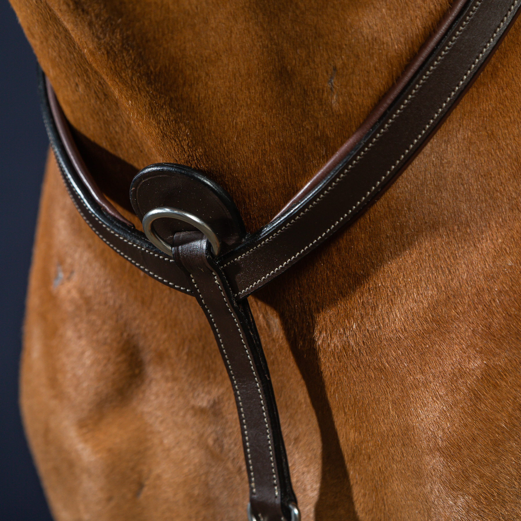 Dy'on Bridge Breastplate, Brown, Working By Dyon