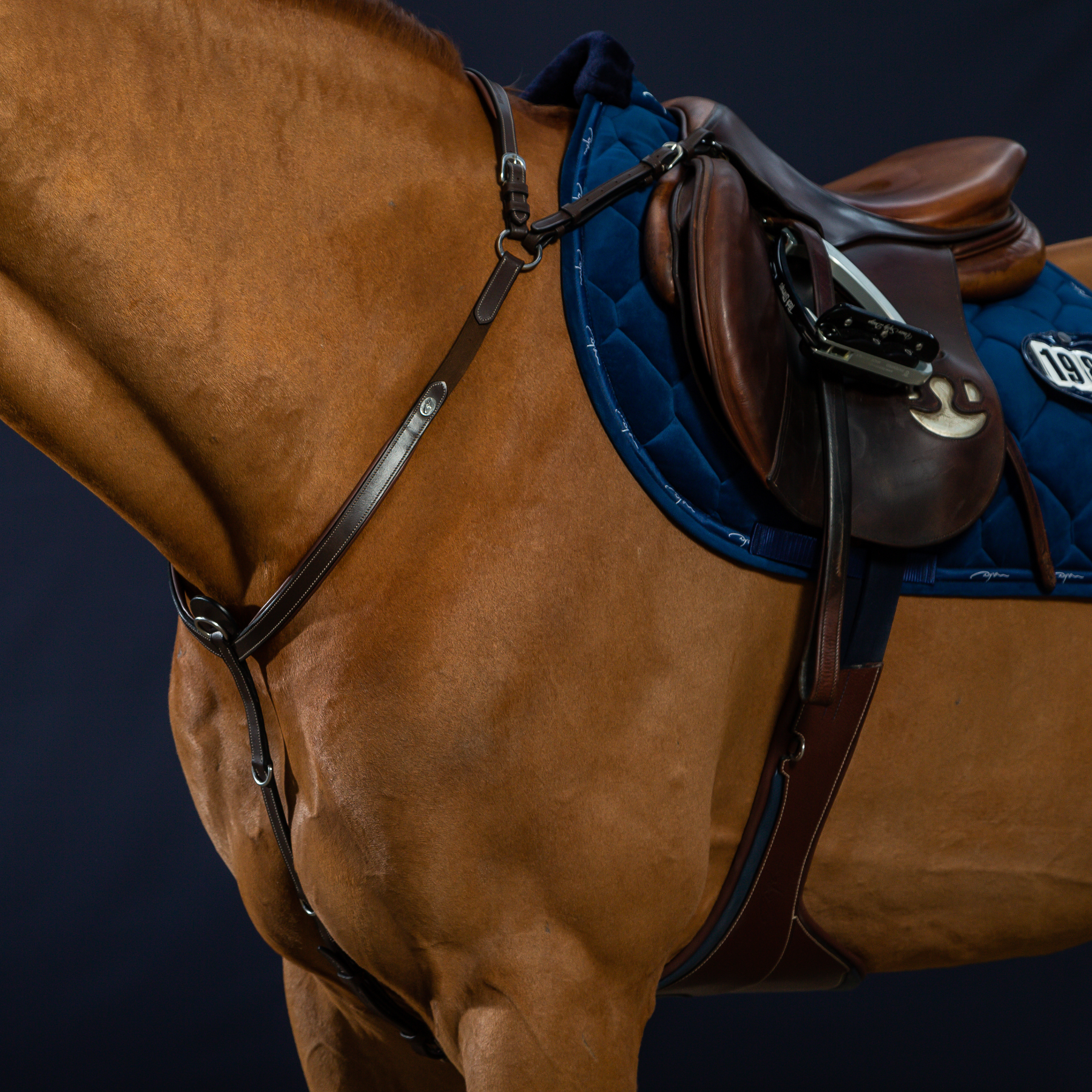 Dy'on Bridge Breastplate, Brown, Working By Dyon