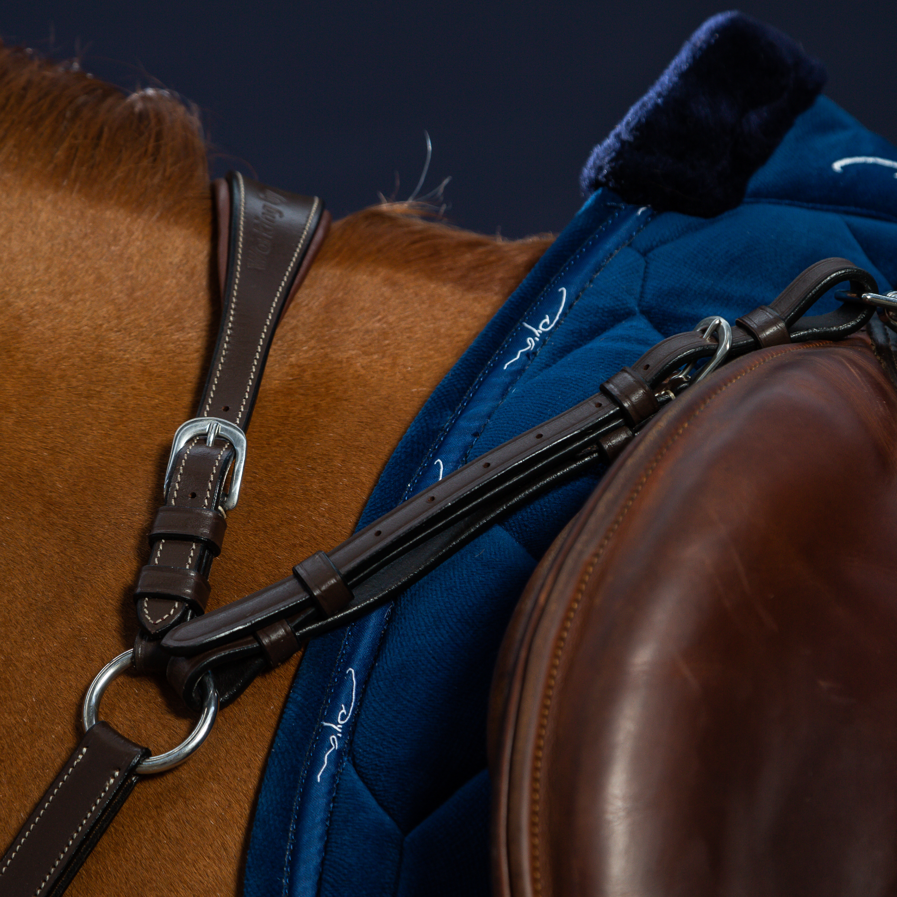 Dy'on Bridge Breastplate, Brown, Working By Dyon