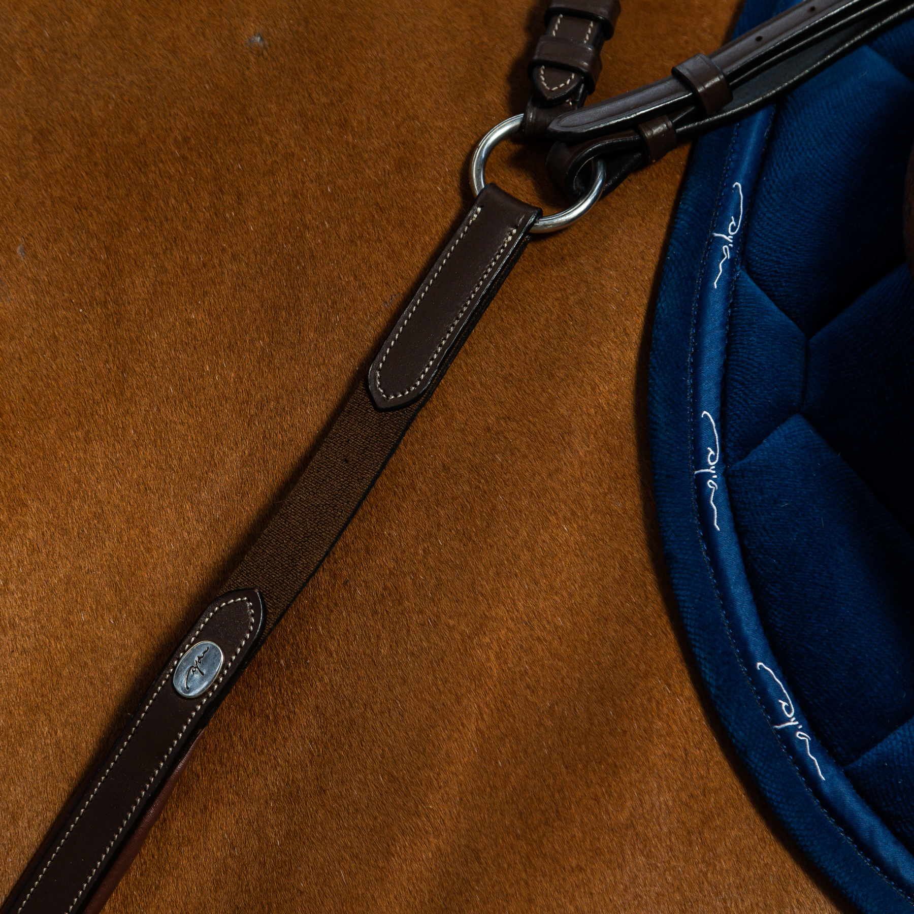 Dy'on Bridge Breastplate, Brown, Working By Dyon