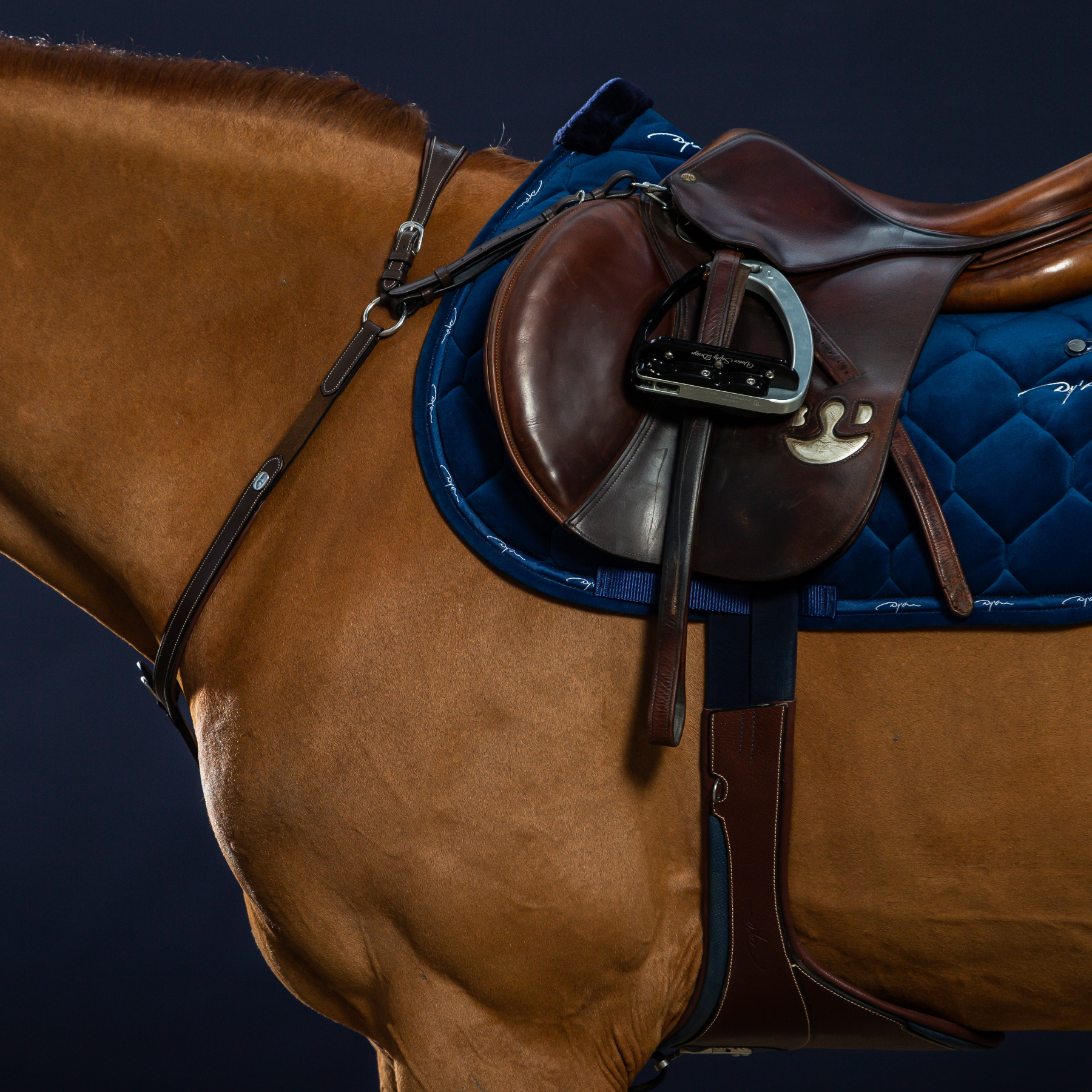 Dy'on Bridge Breastplate, Brown, Working By Dyon