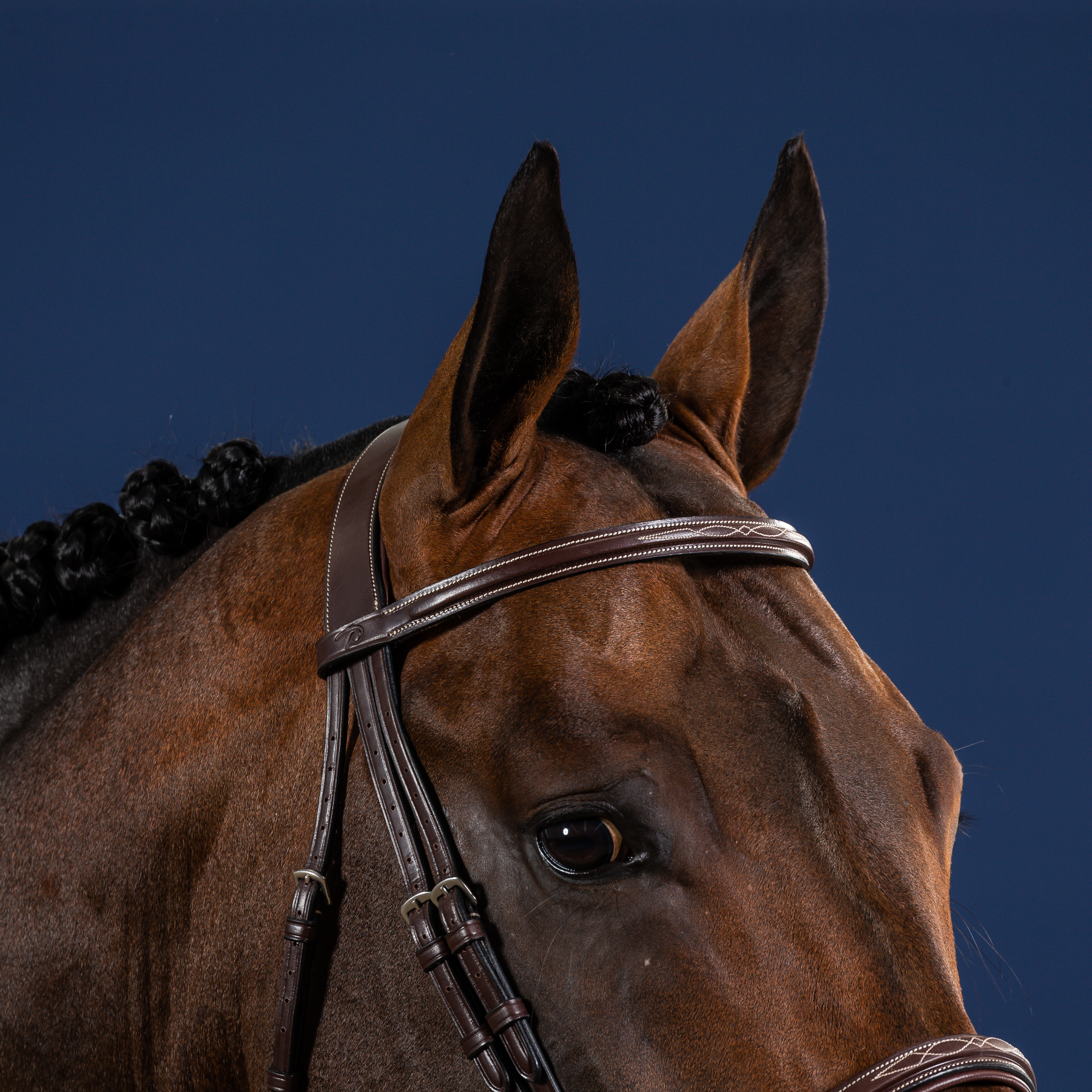 Dy'on Cavesson Noseband Bridle, Brown, US Collection
