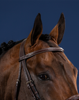 Dy'on Cavesson Noseband Bridle, Brown, US Collection