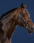Dy'on Cavesson Noseband Bridle, Brown, US Collection
