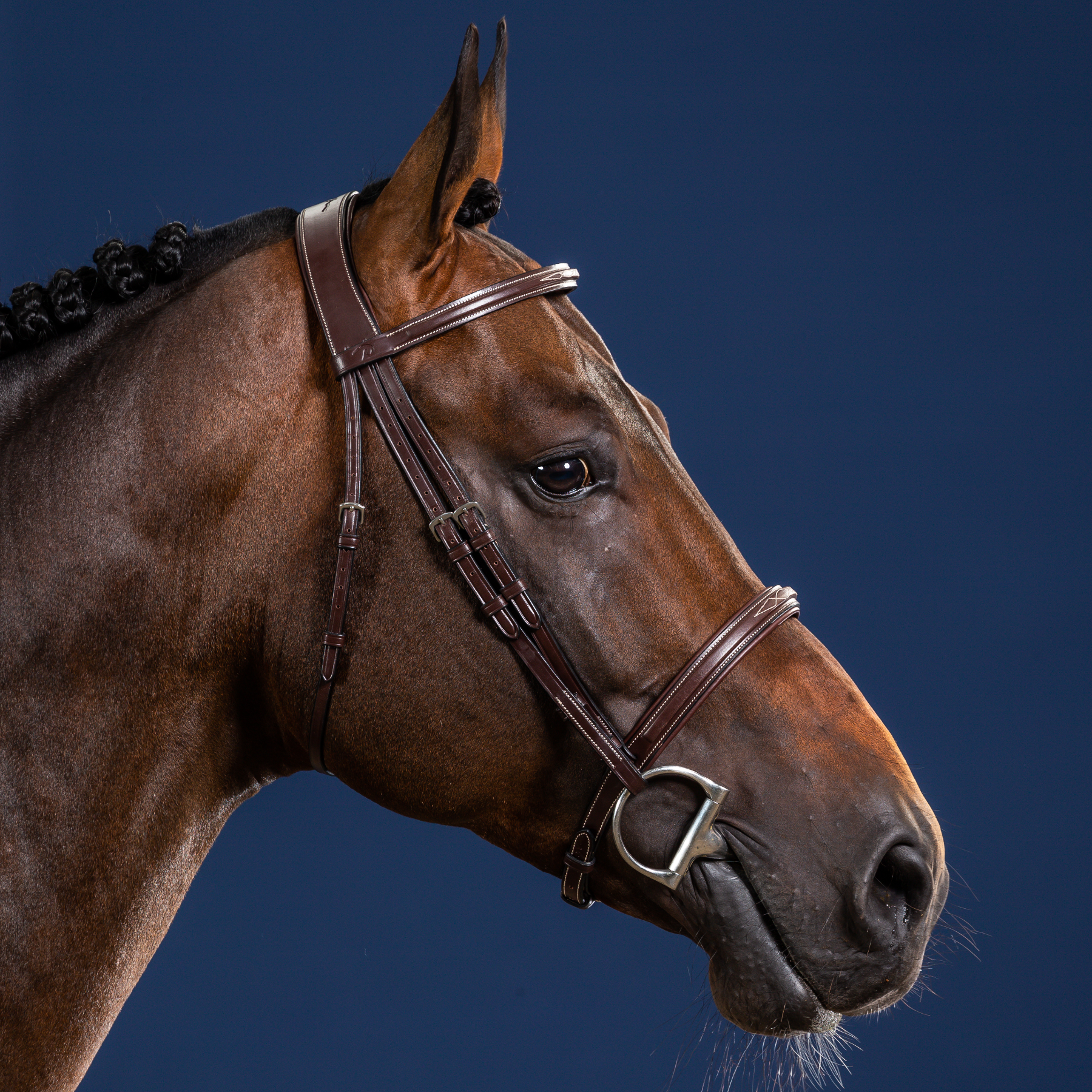 Dy'on Cavesson Noseband Bridle, Brown, US Collection