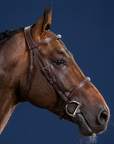 Dy'on Cavesson Noseband Bridle, Brown, US Collection