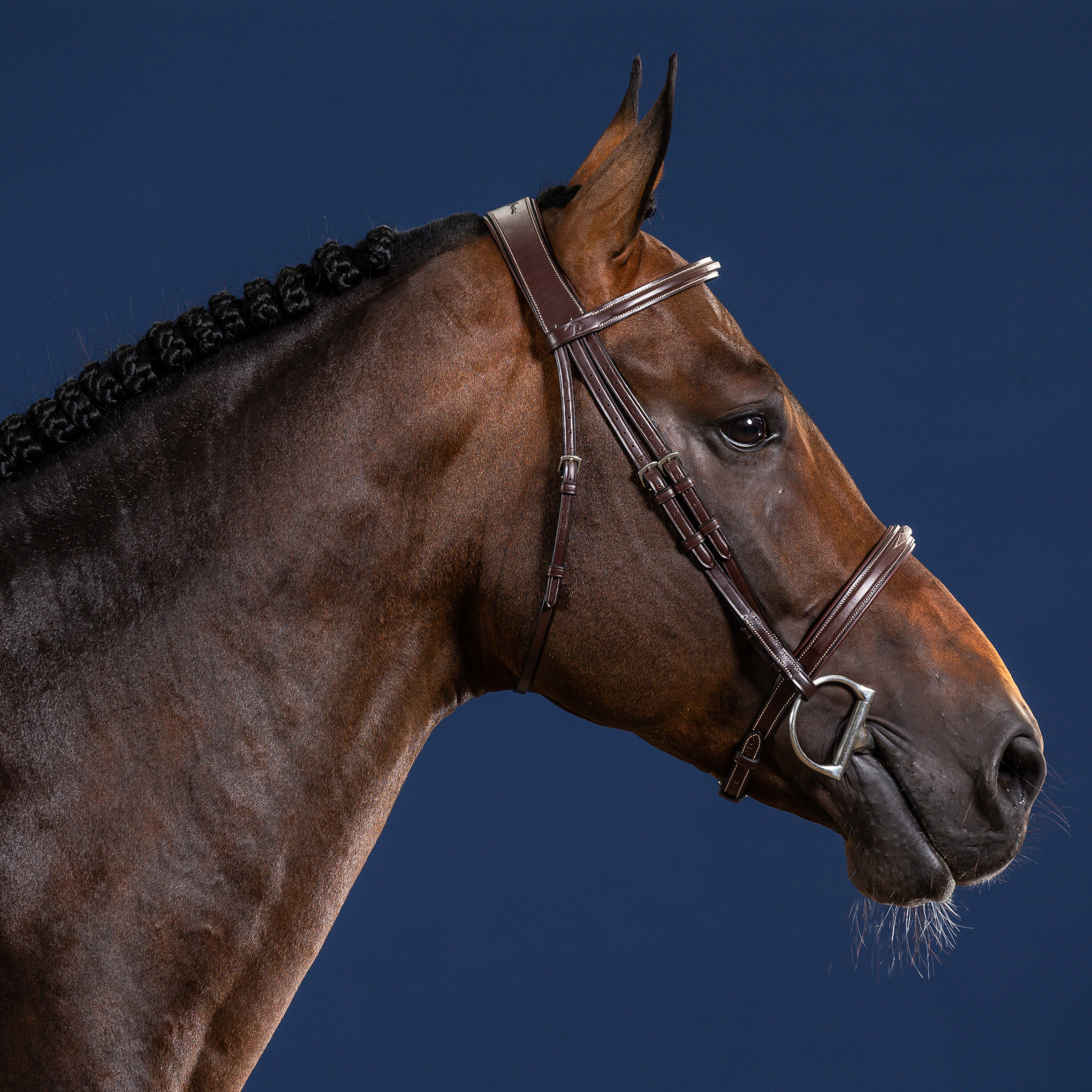 Dy'on Cavesson Noseband Bridle, Brown, US Collection