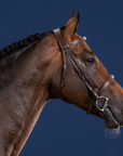 Dy'on Cavesson Noseband Bridle, Brown, US Collection