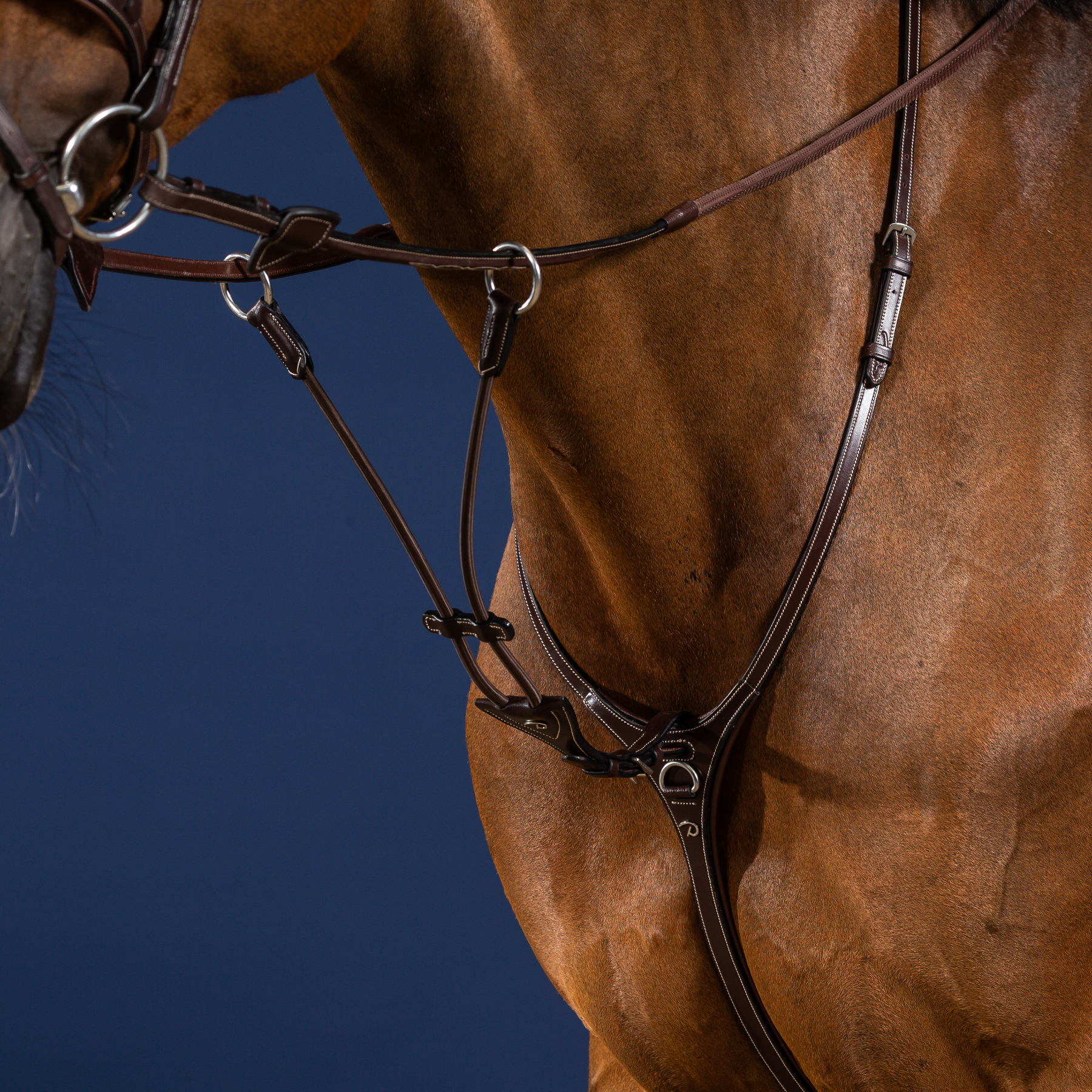 Dy'on Elastic Running Martingale Attachment, Brown, US Collection