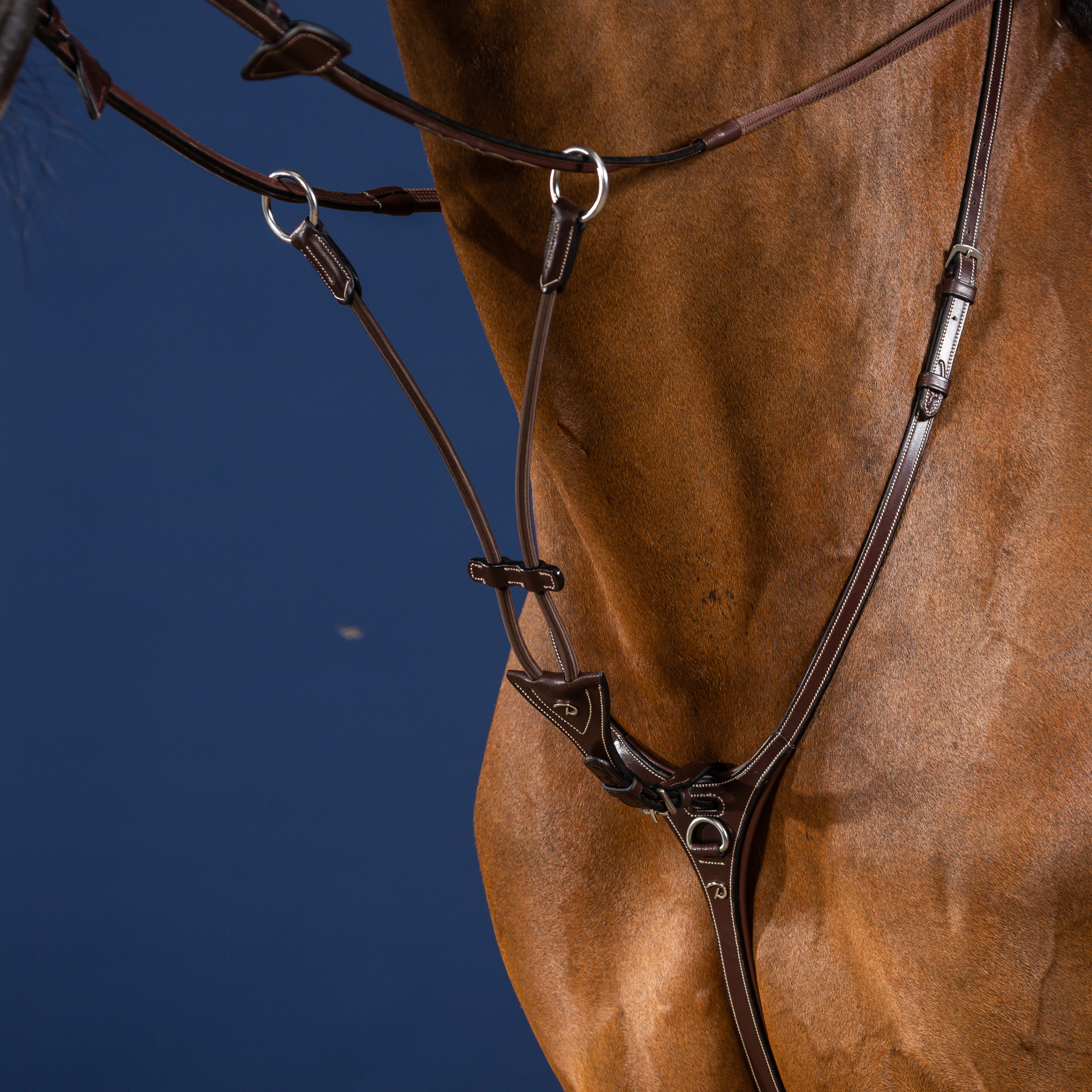 Dy'on Elastic Running Martingale Attachment, Brown, US Collection