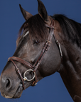 Dy'on Flash Noseband Bridle, Brown, US Collection
