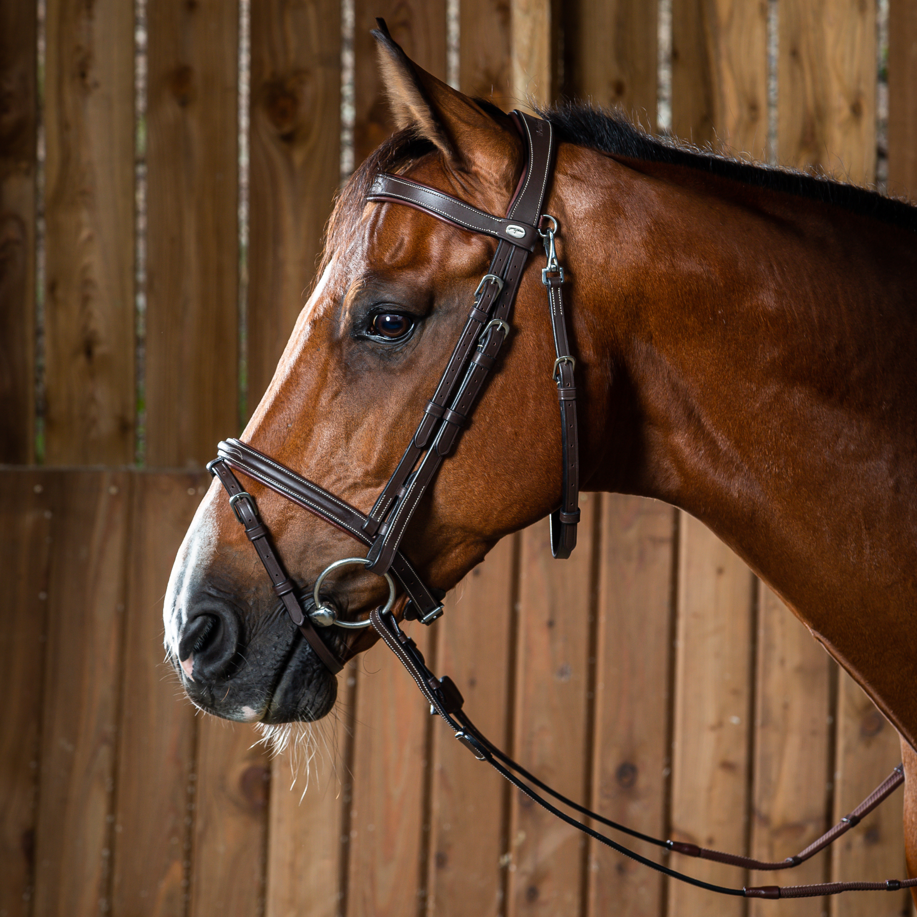 Dy'on Flash Noseband Bridle, Brown, Working By Dyon