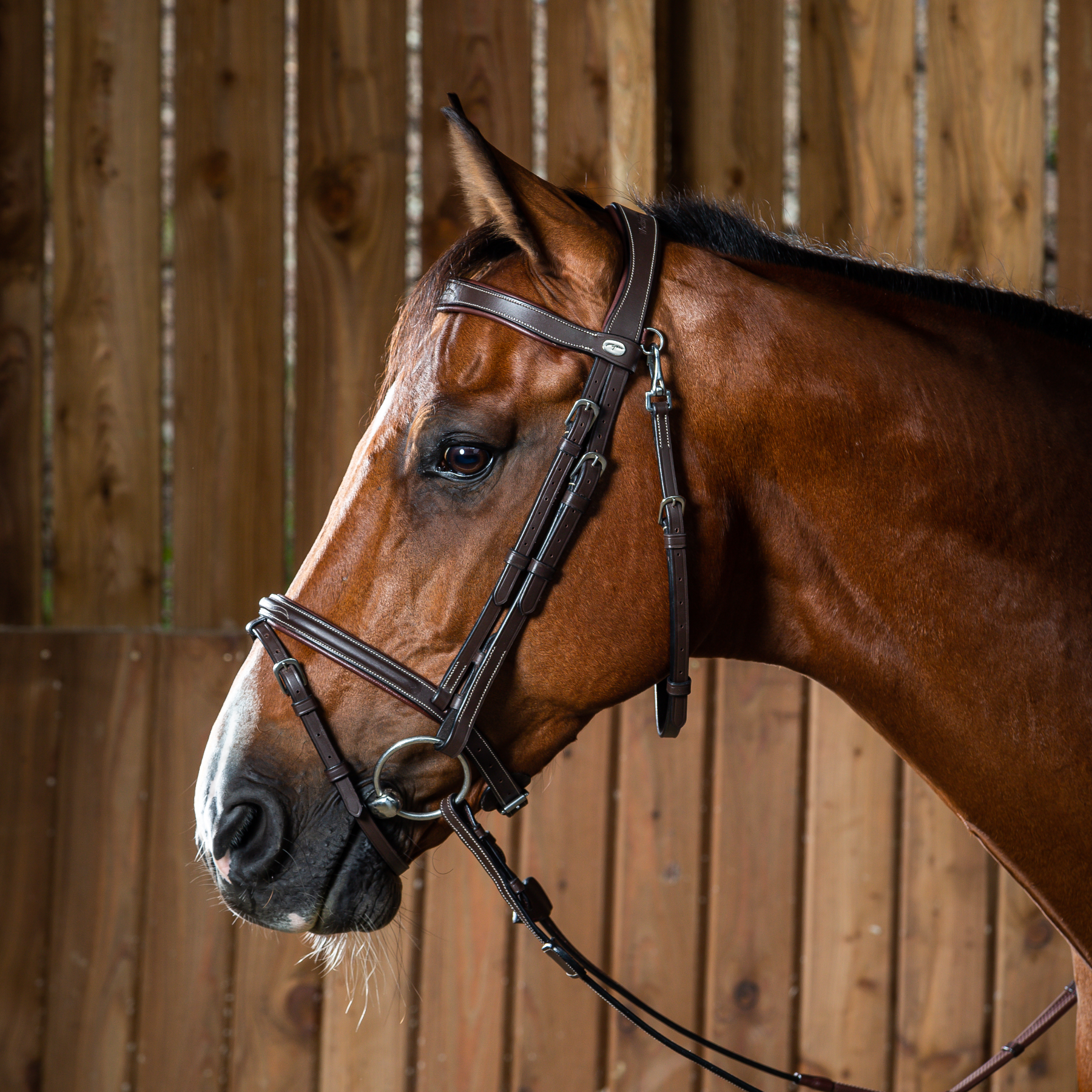 Dy'on Flash Noseband Bridle With Snap Hooks, Brown, Working By Dy'on
