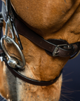 Dy'on Flat Leather Bridle With Snap Hooks, Brown, Working By Dyon