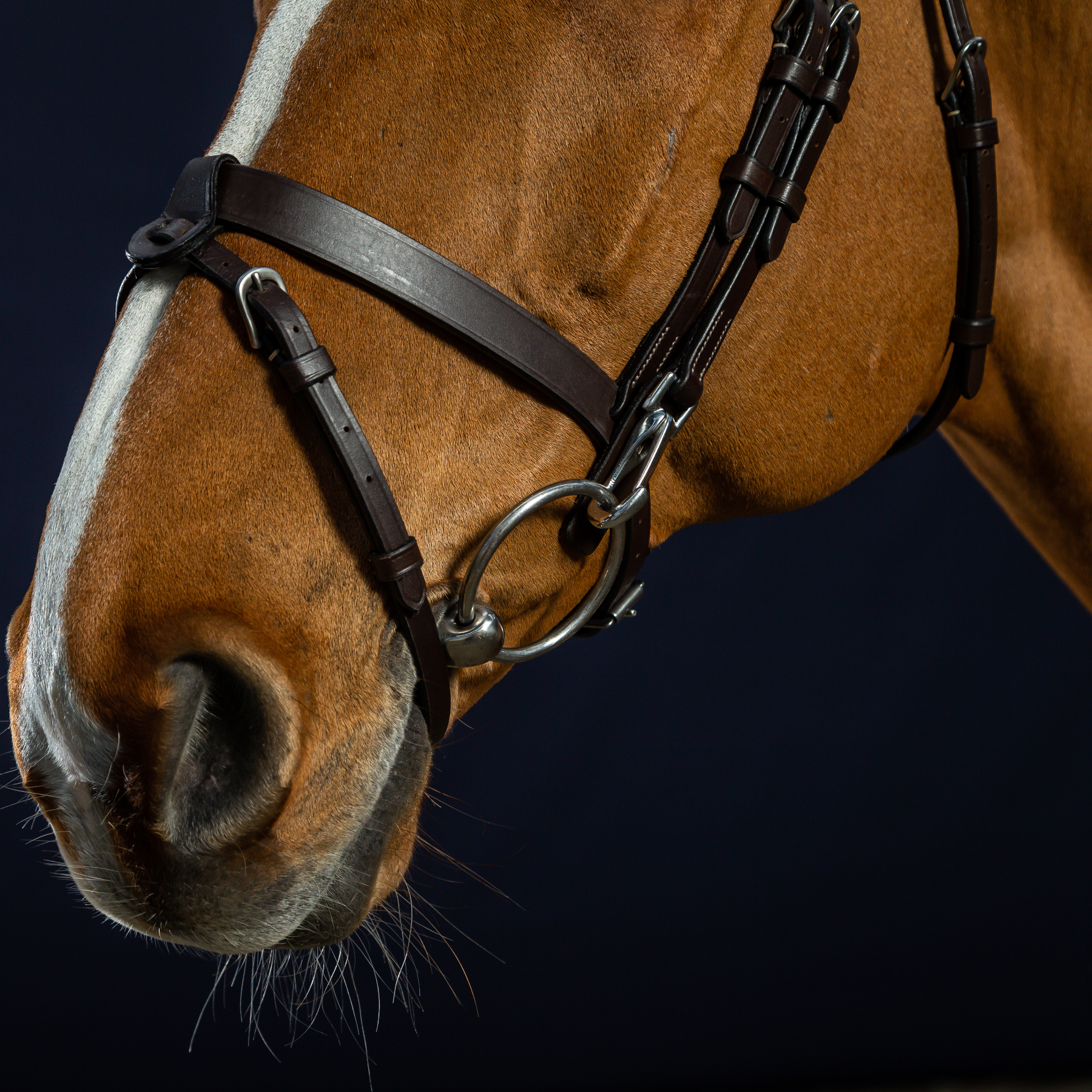 Dy'on Flat Leather Bridle With Snap Hooks, Brown, Working By Dyon