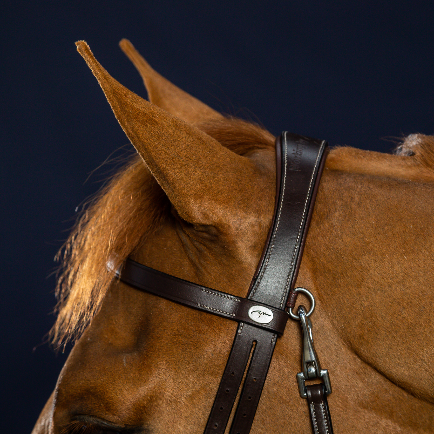Dy'on Flat Leather Bridle With Snap Hooks, Brown, Working By Dyon