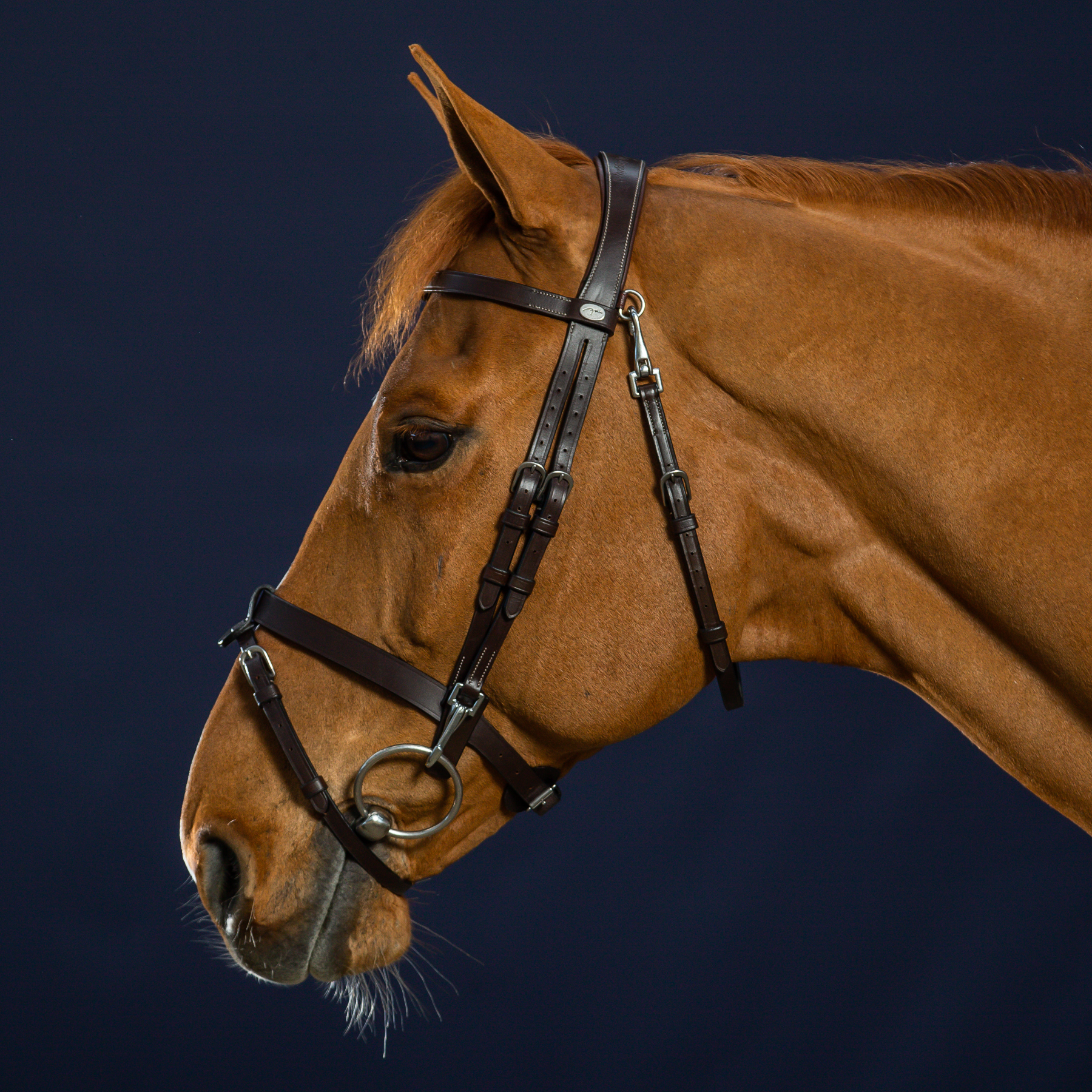 Dy'on Flat Leather Bridle With Snap Hooks, Brown, Working By Dyon