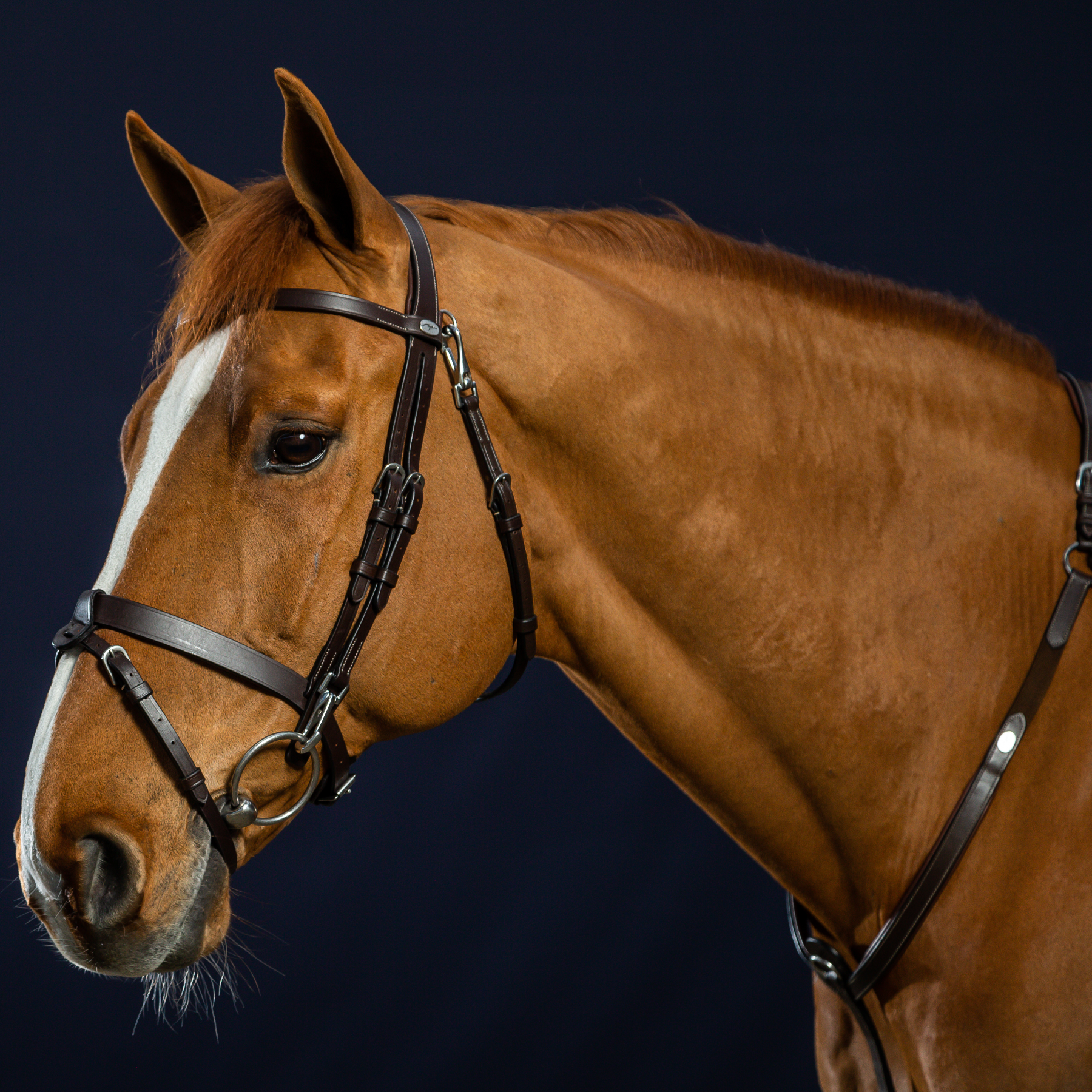 Dy'on Flat Leather Bridle With Snap Hooks, Brown, Working By Dyon