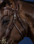Dy'on Hackamore Bridle, Brown, US Collection