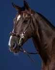 Dy'on Hackamore Bridle, Brown, US Collection