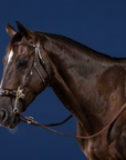 Dy'on Hackamore Bridle, Brown, US Collection