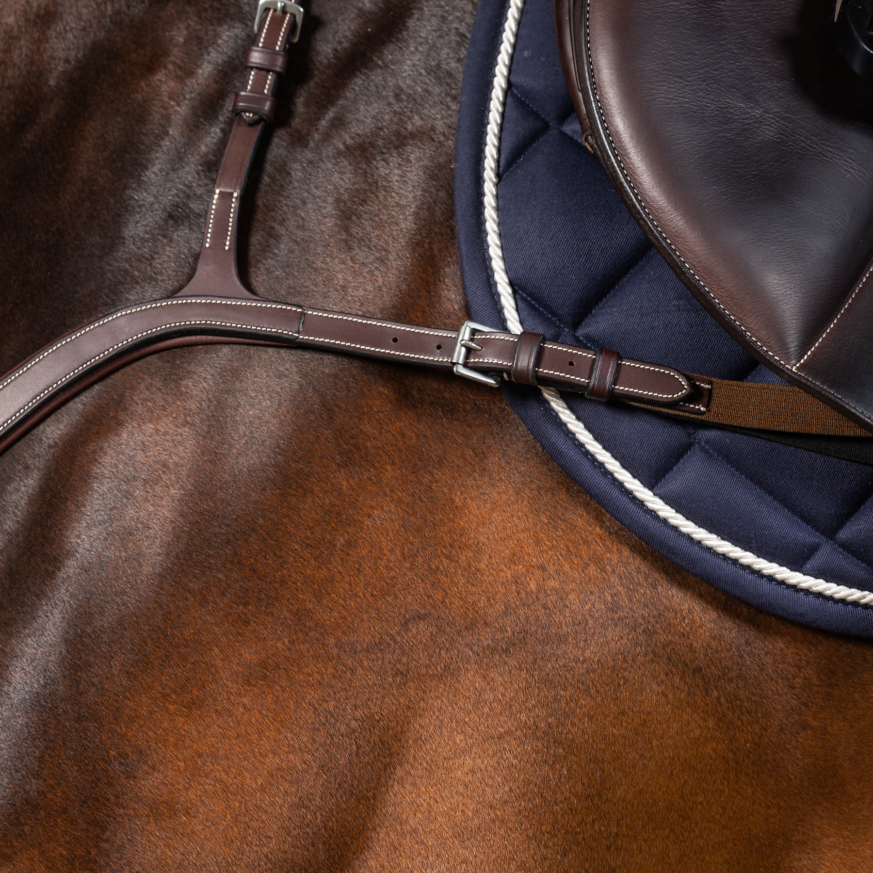 Dy'on Long Bridge Breastplate, Brown, US Collection