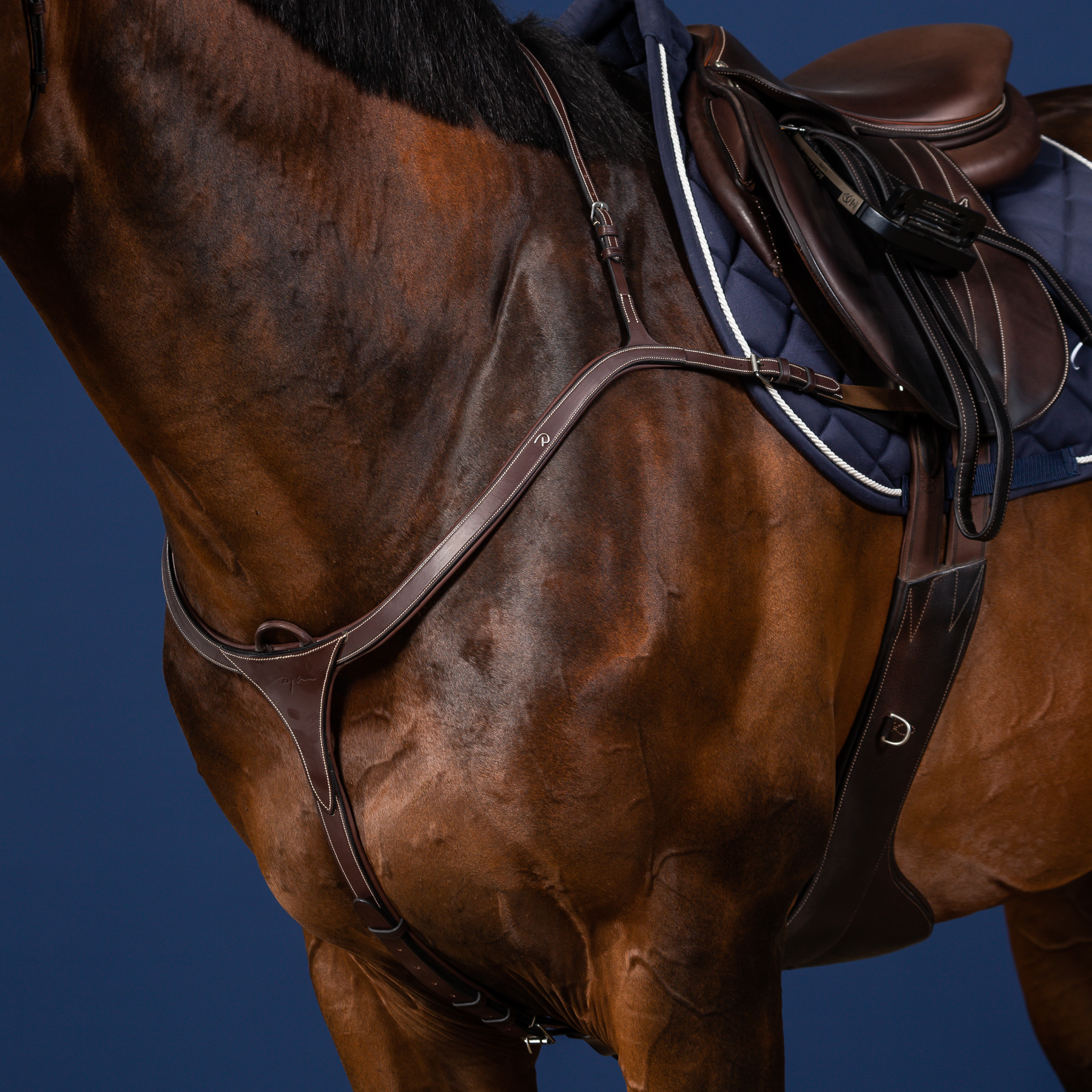 Dy'on Long Bridge Breastplate, Brown, US Collection
