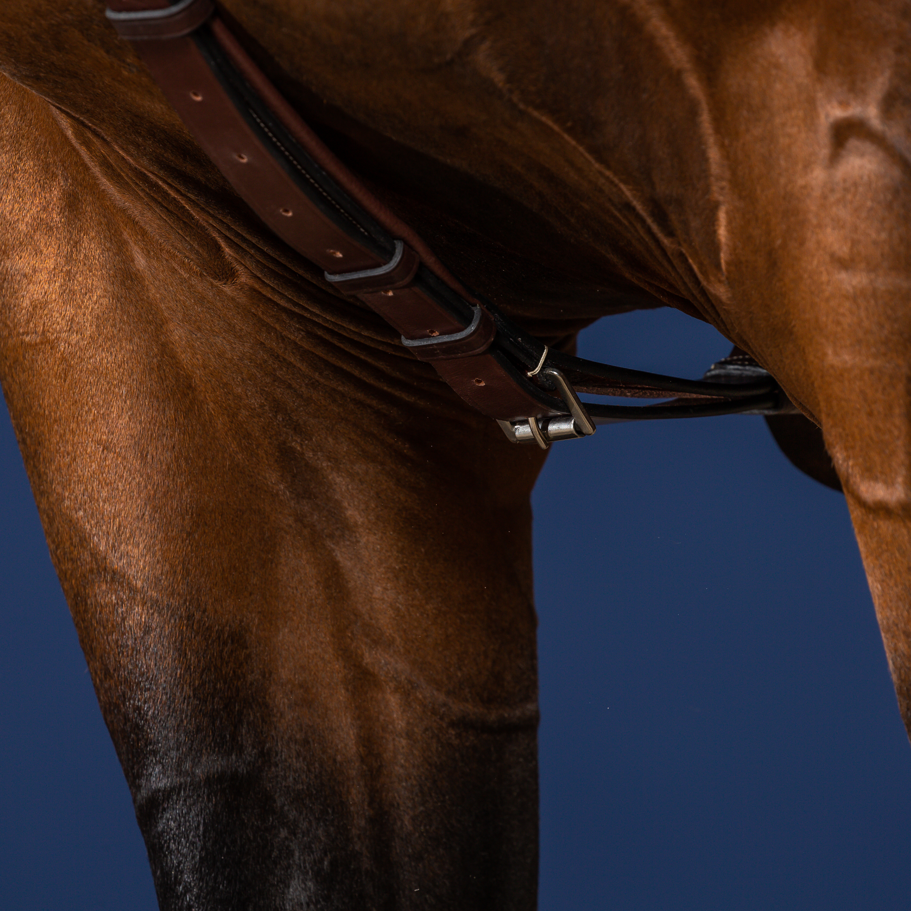 Dy'on Long Bridge Breastplate, Brown, US Collection
