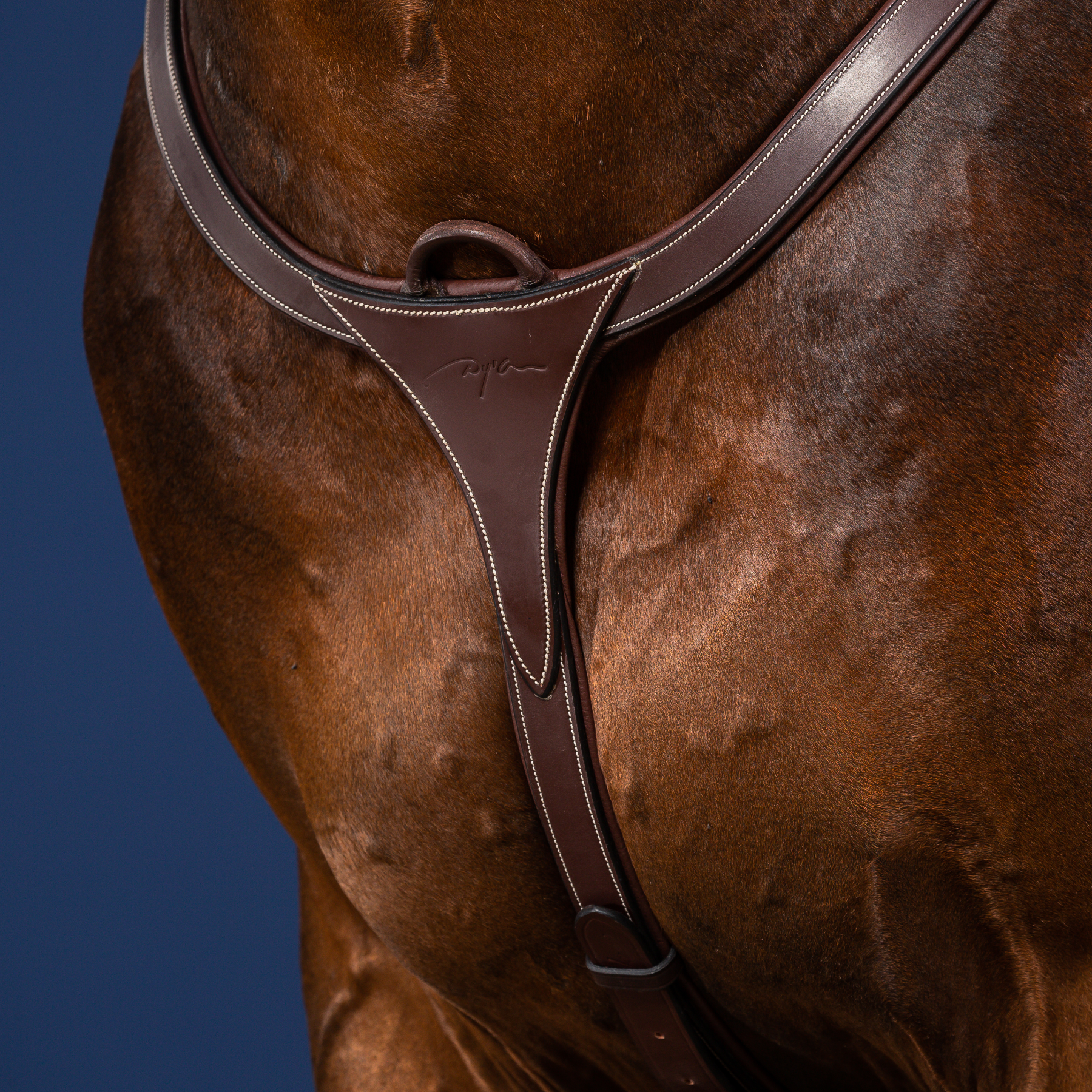 Dy'on Long Bridge Breastplate, Brown, US Collection