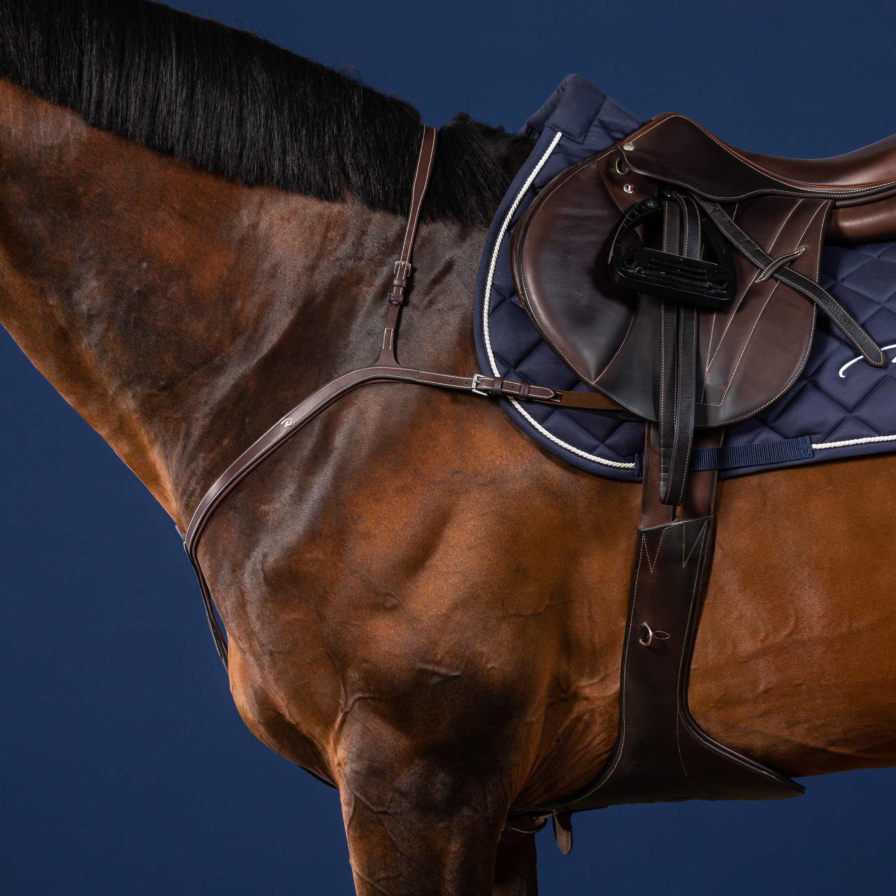 Dy'on Long Bridge Breastplate, Brown, US Collection