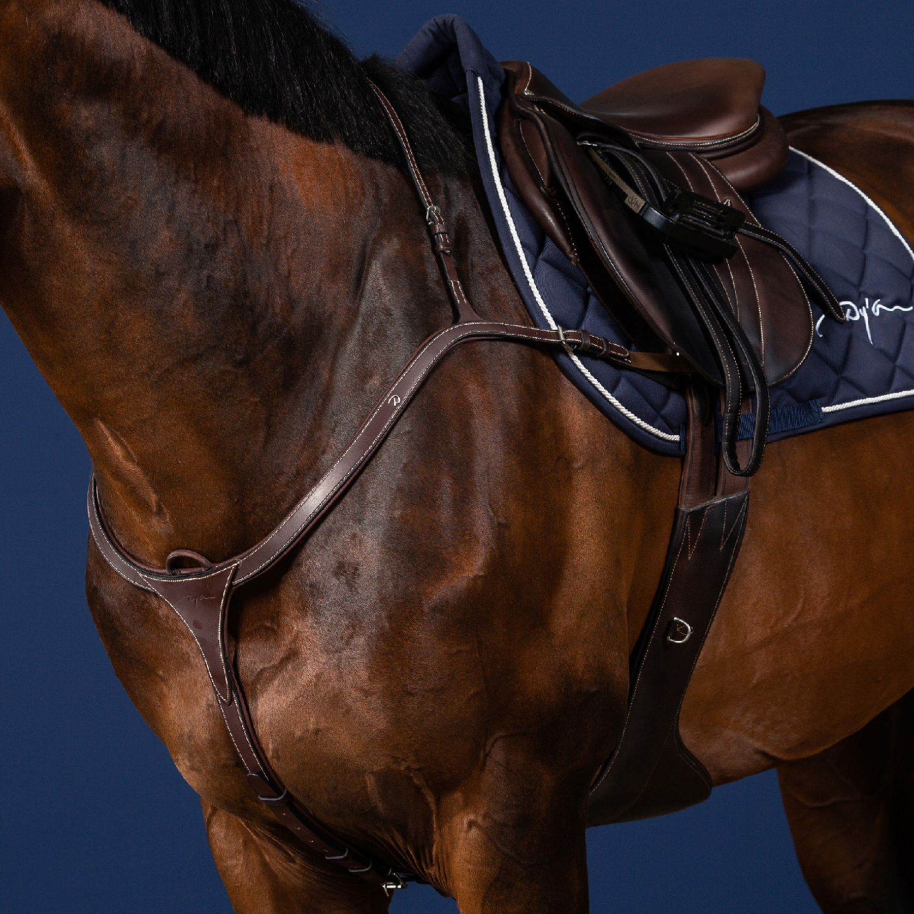 Dy'on Long Bridge Breastplate, Brown, US Collection