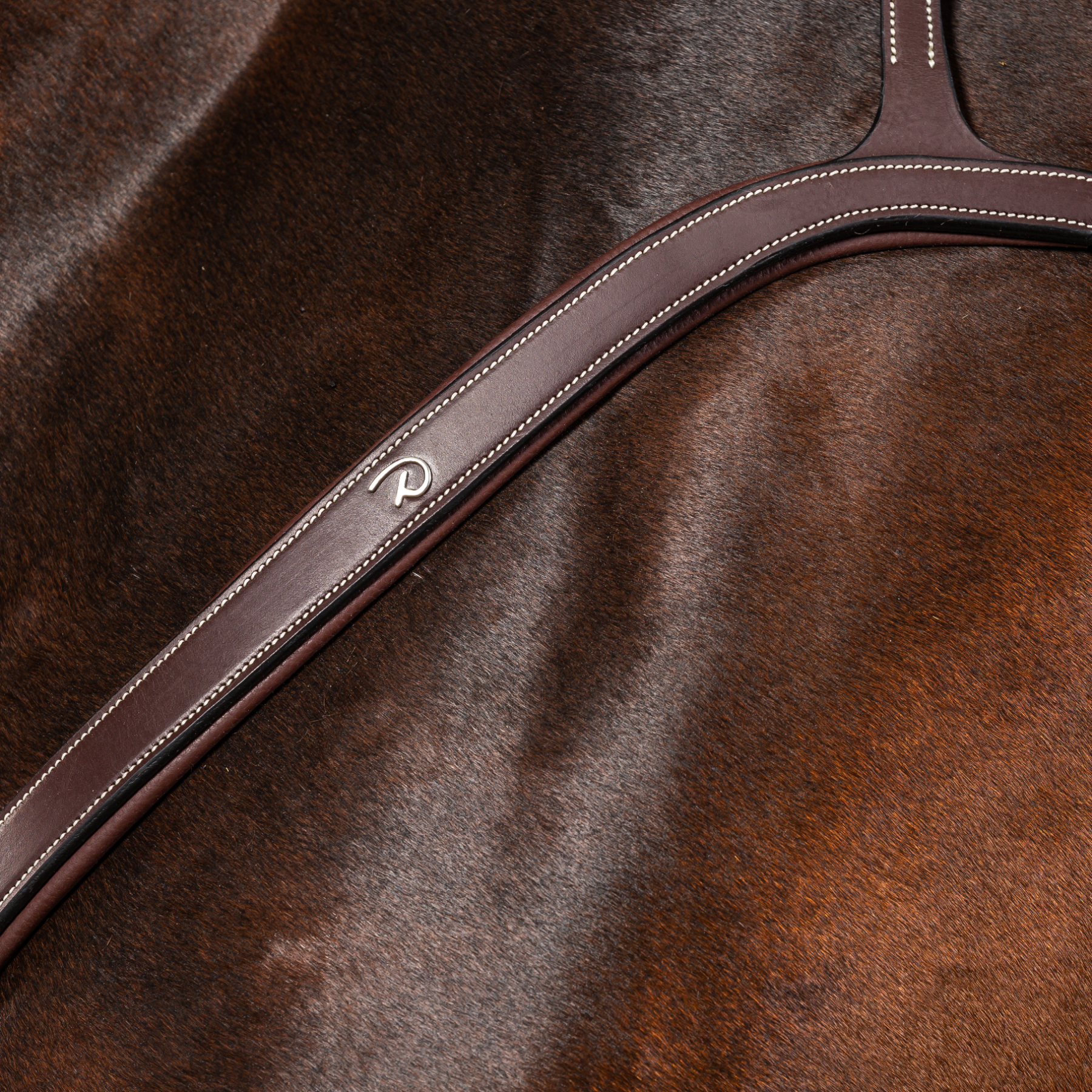 Dy'on Long Bridge Breastplate, Brown, US Collection
