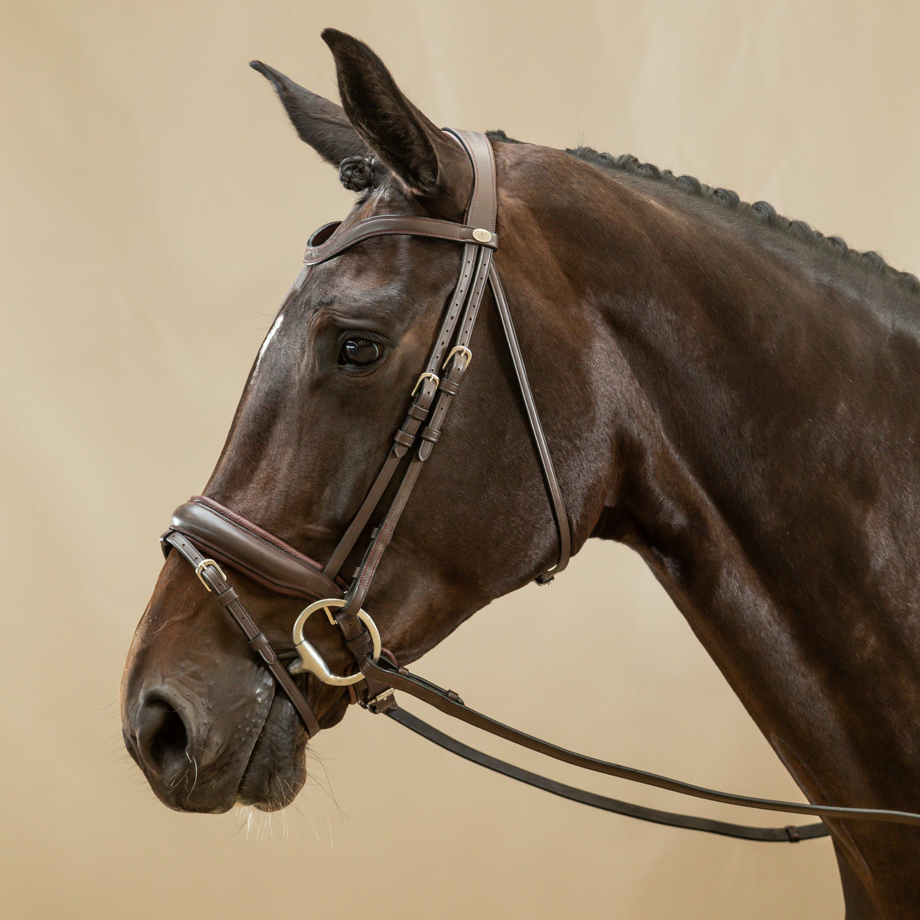 Dy'on Matte Large Crank Noseband Bridle With Flash, Brown, Working By Dyon