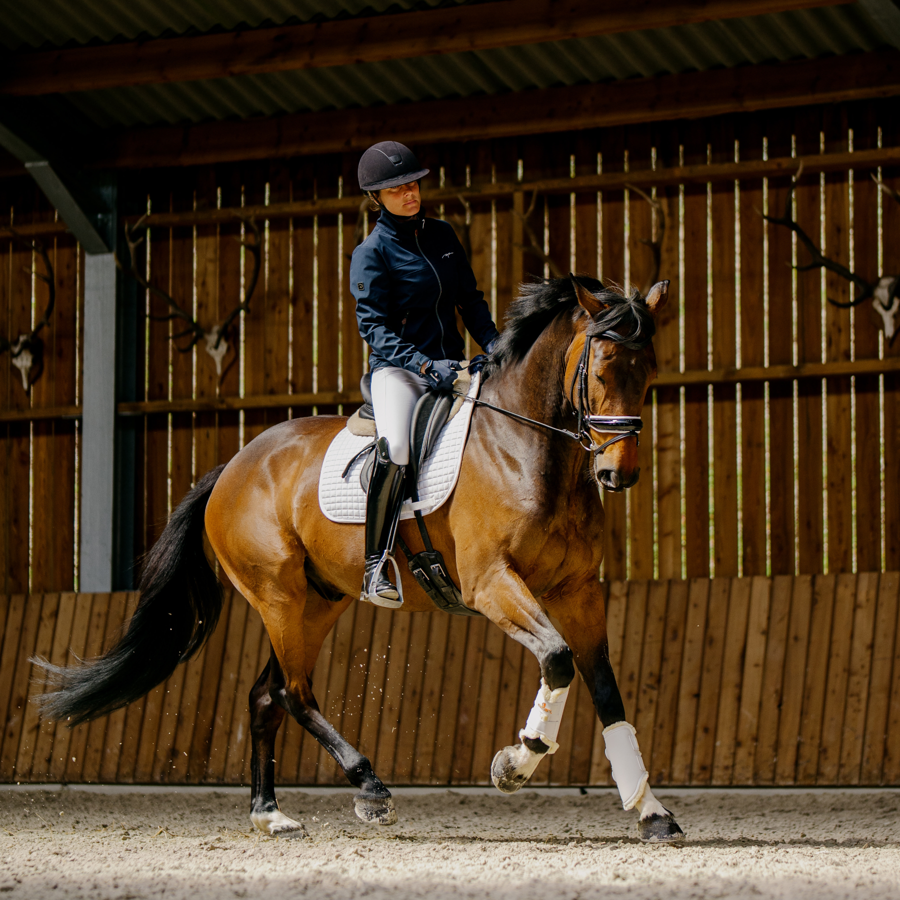 Dy'on Patent Noseband Bridle With White Padding and Flash, Black