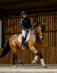 Dy'on Patent Noseband Bridle With White Padding and Flash, Black