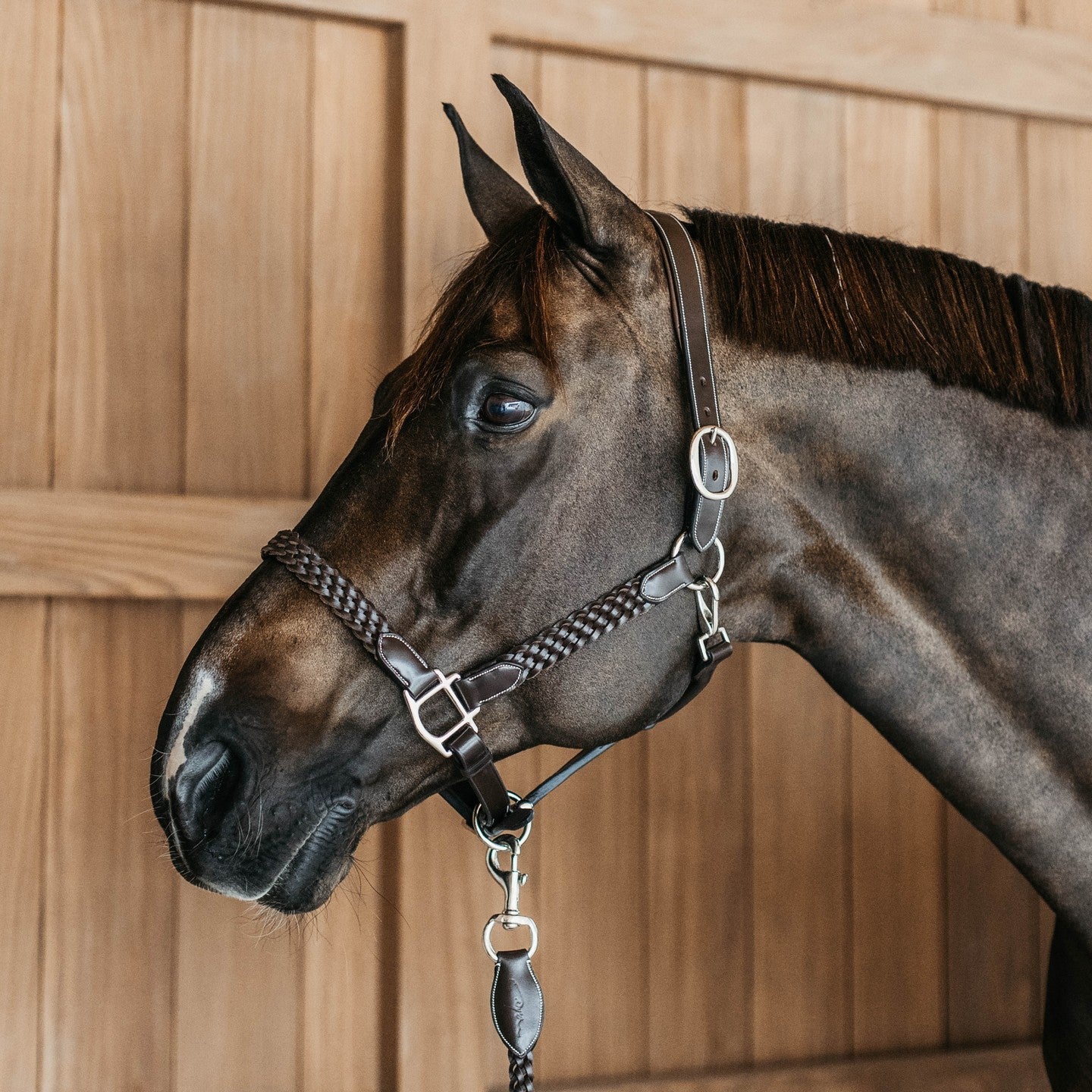 Dy'on Plaited Halter, Brown