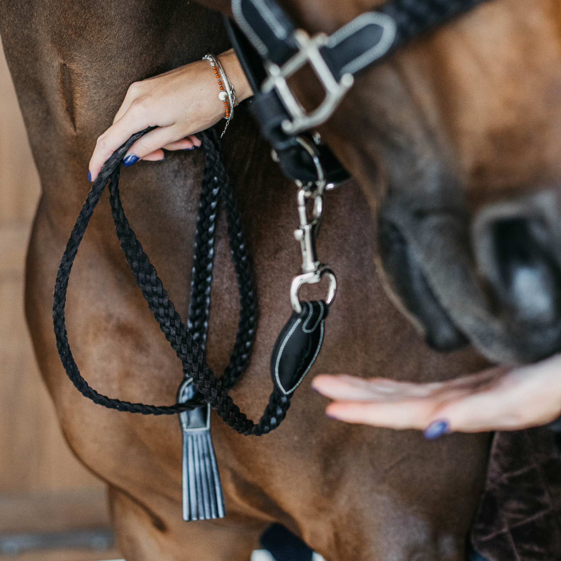 Dy'on Plaited Lead, Black