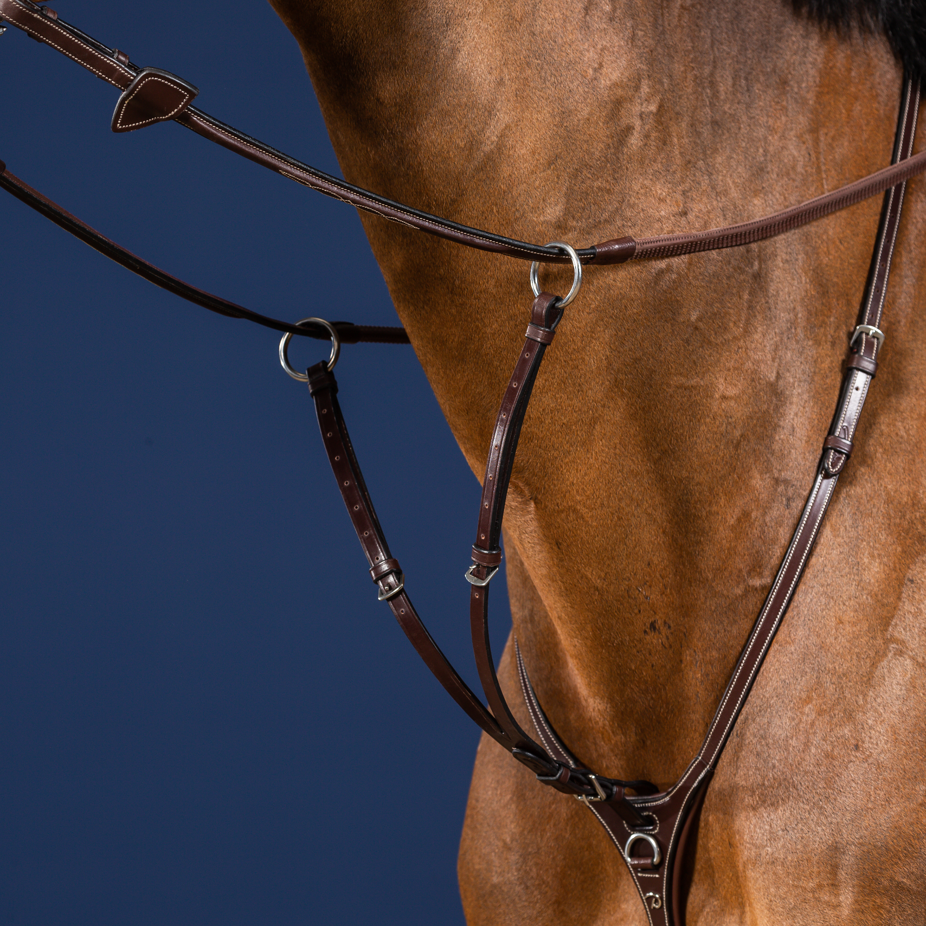 Dy'on Running Martingale Attachment, Brown, US Collection