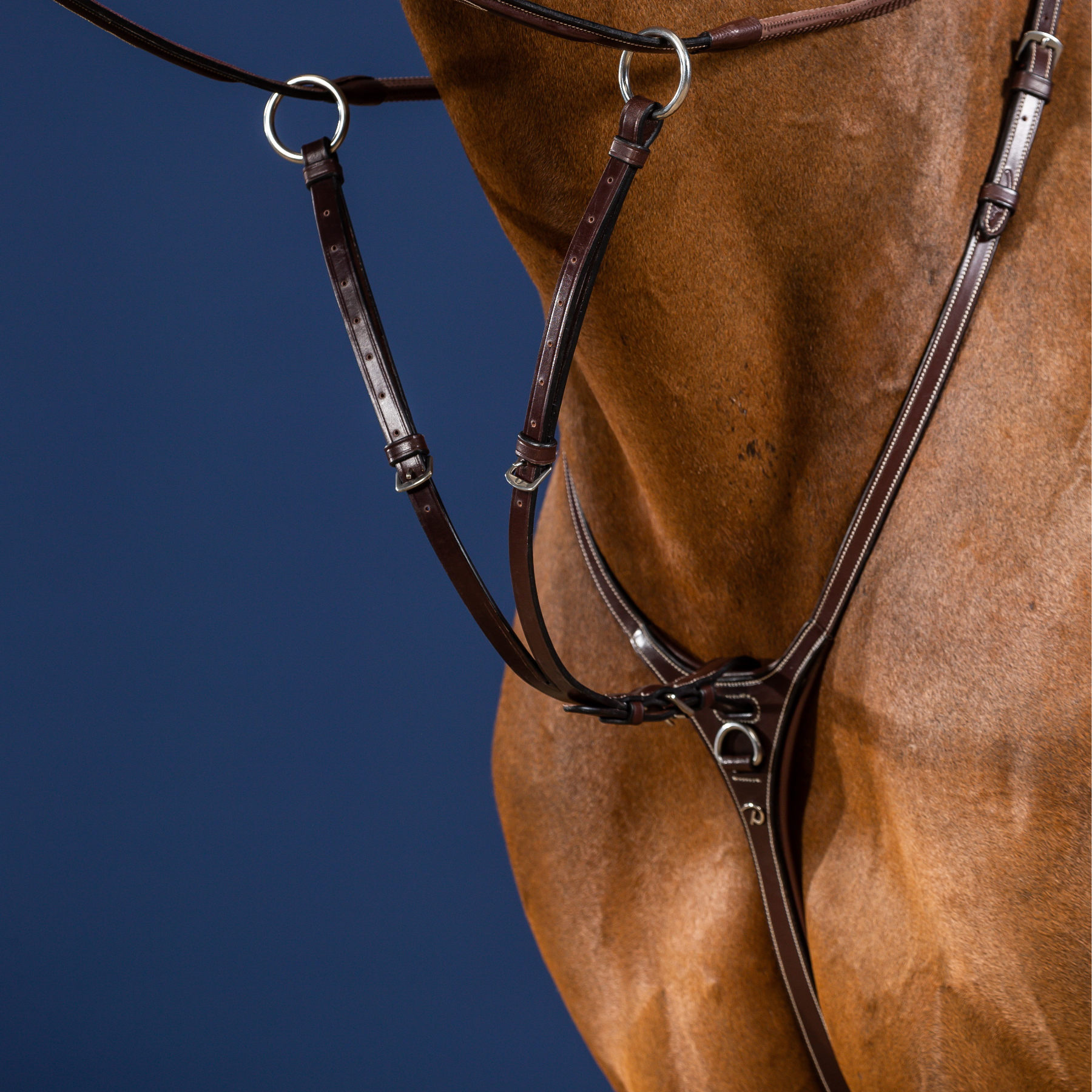 Dy'on Running Martingale Attachment, Brown, US Collection