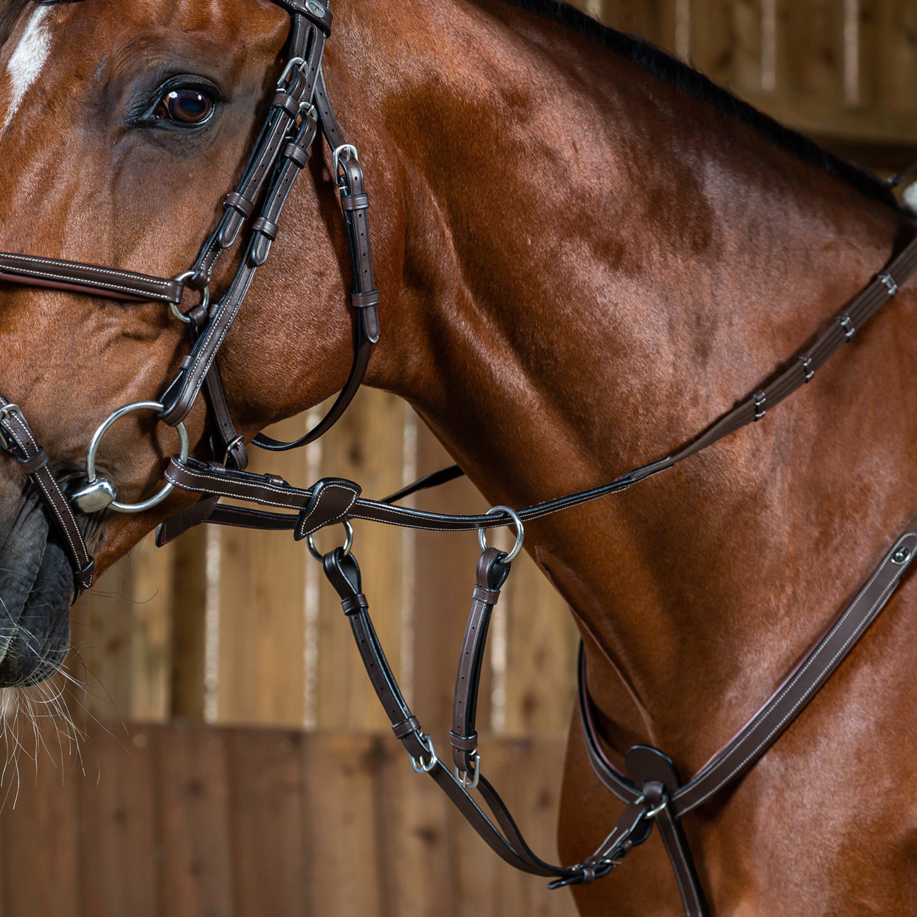 Dy'on Running Martingale Attachment Working, Brown, Working By Dyon