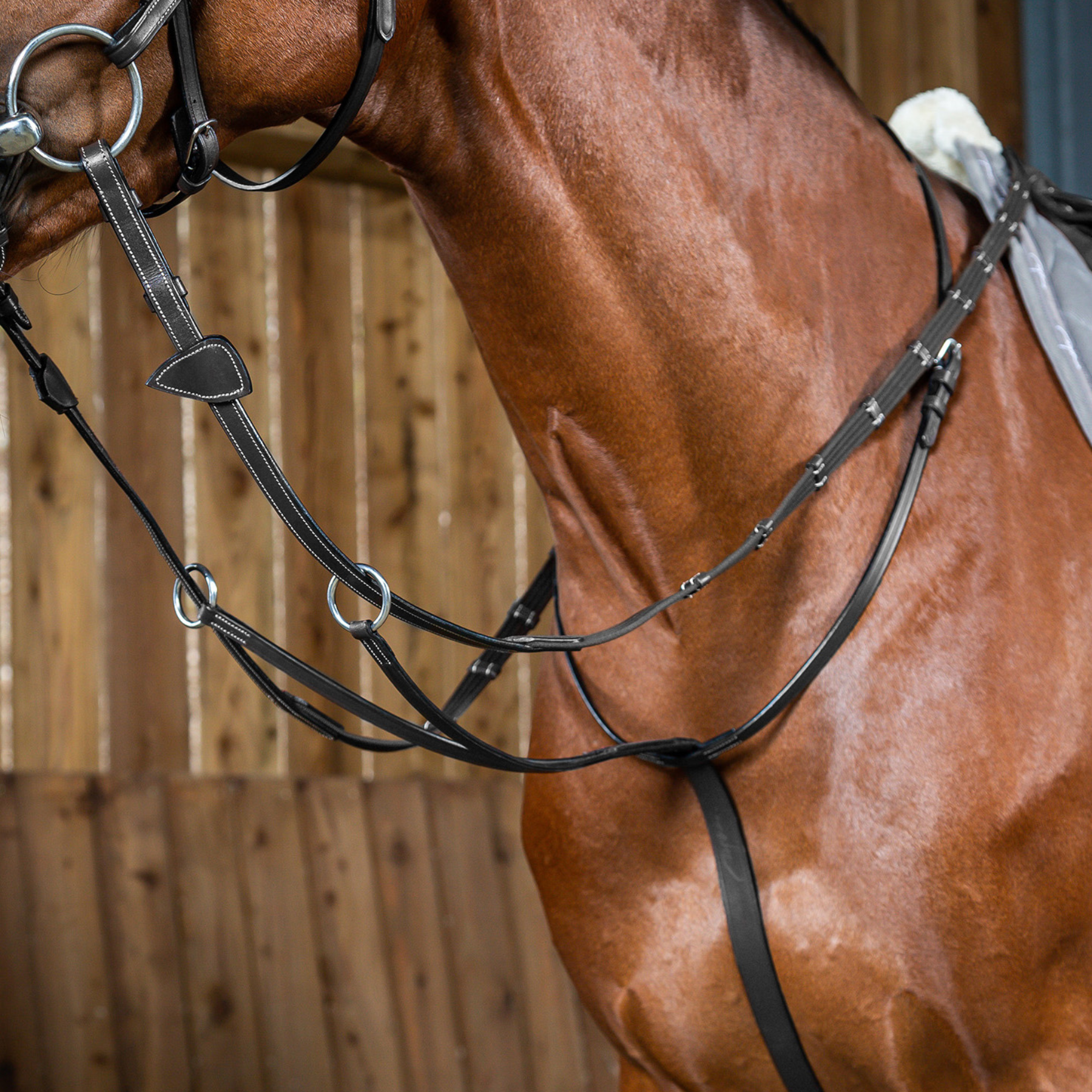 Dy'on Running Martingale, Black, Working By Dy'on