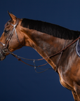 Dy'on Running Martingale, Brown, US Collection