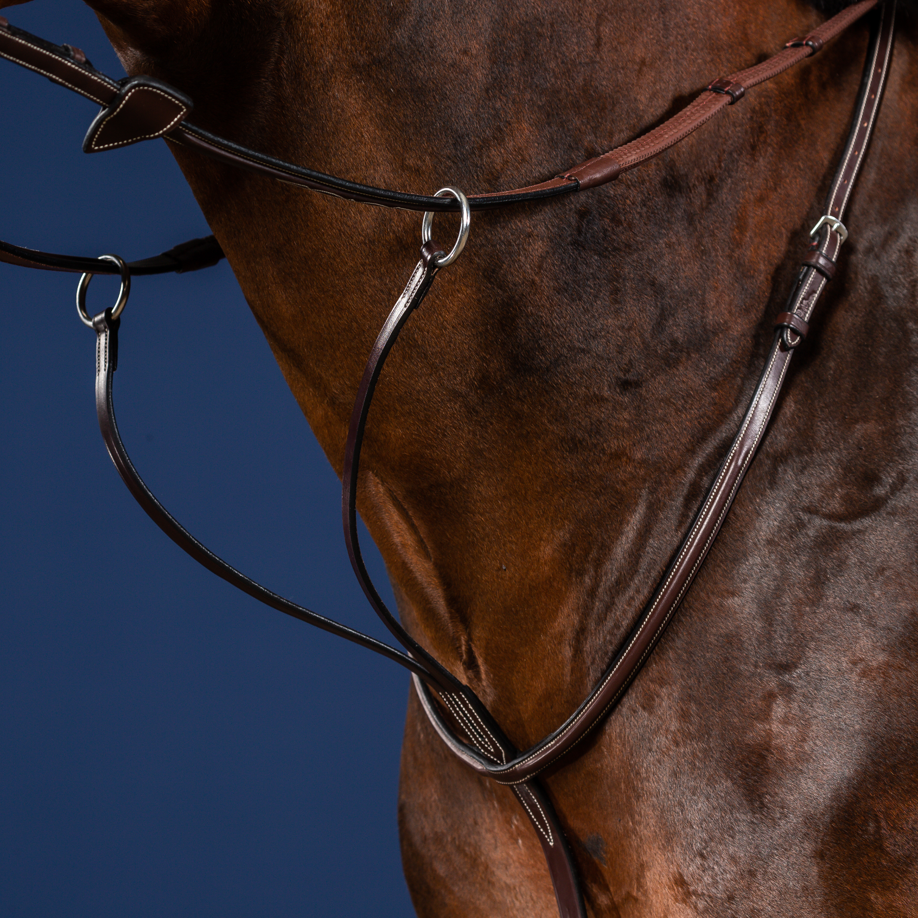 Dy'on Running Martingale, Brown, US Collection